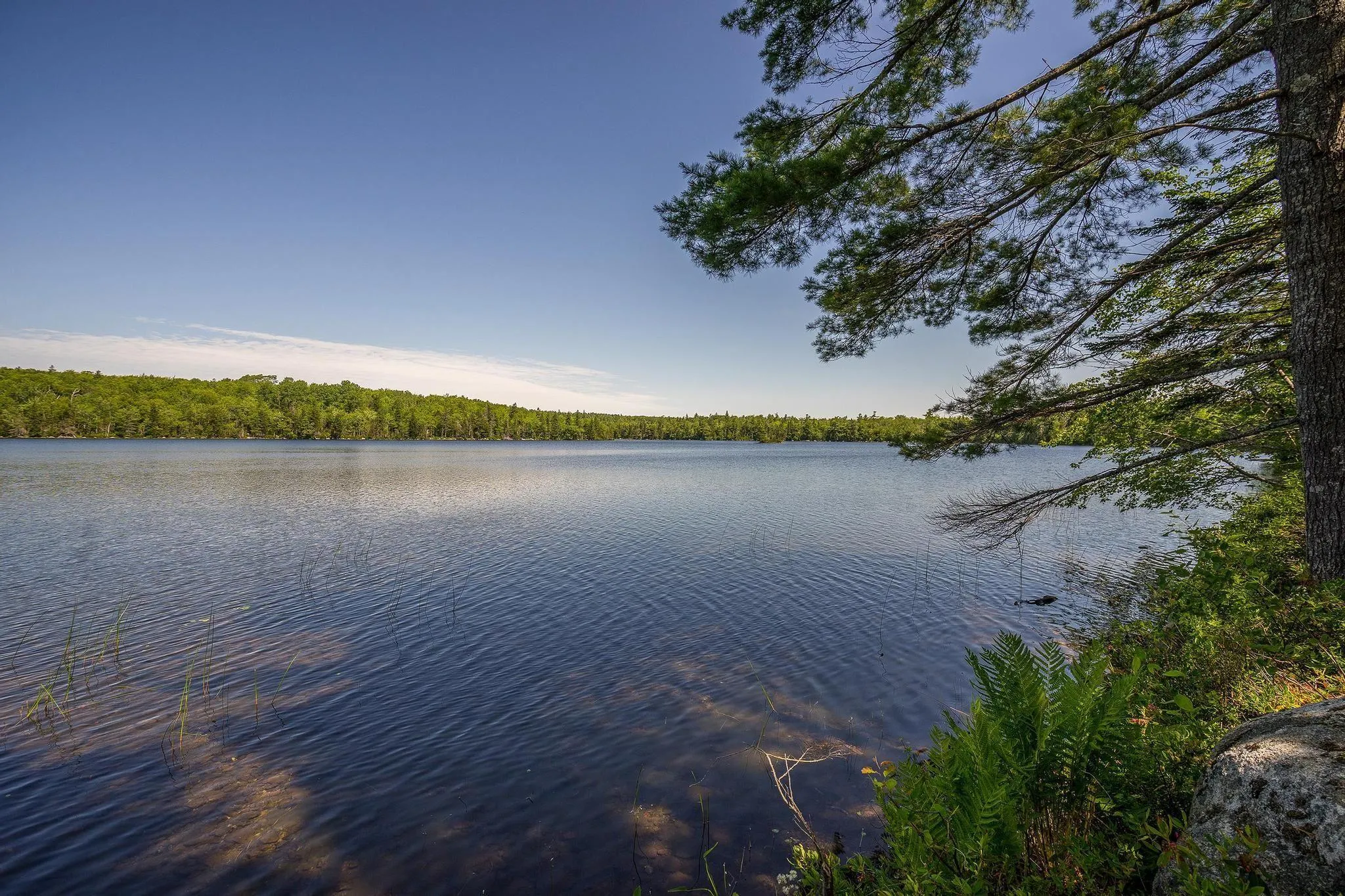 241 Bill Berry Road, Princedale, NS B0S 1G0, ,Residential,For Sale,Bill Berry,202517710