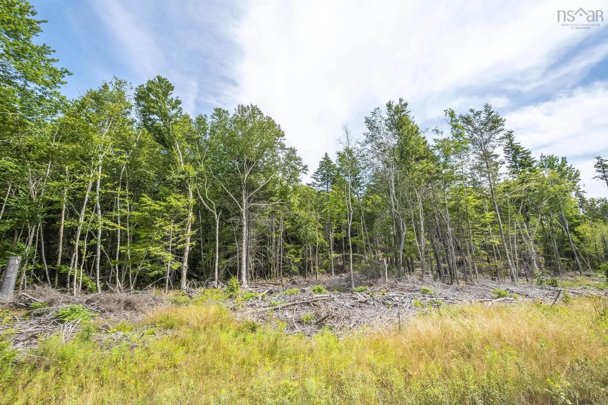 1 Bull Lake Road, Margo, NS B0W 1M0, ,Land,For Sale,Bull Lake,202520312
