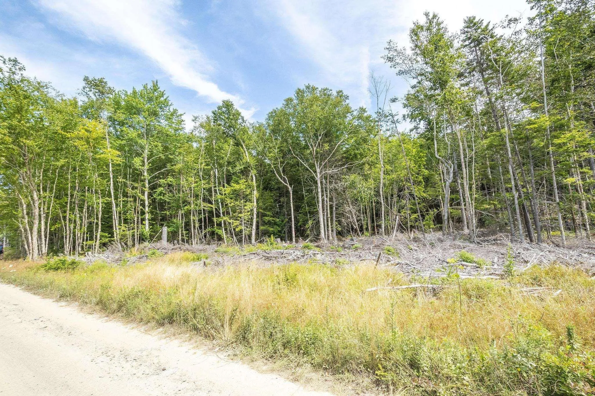 1 Bull Lake Road, Margo, NS B0W 1M0, ,Land,For Sale,Bull Lake,202520312