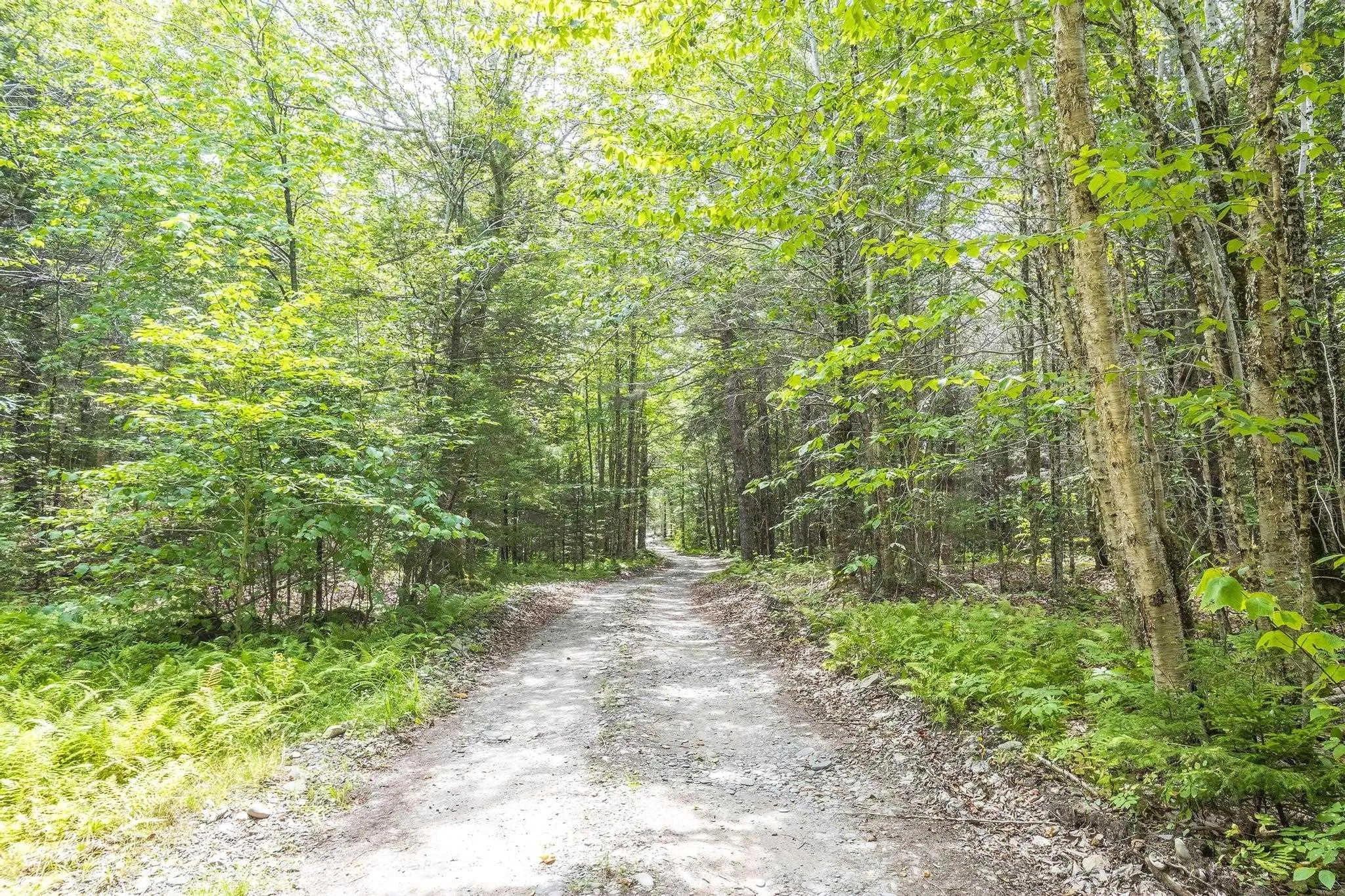 1 Bull Lake Road, Margo, NS B0W 1M0, ,Land,For Sale,Bull Lake,202520312