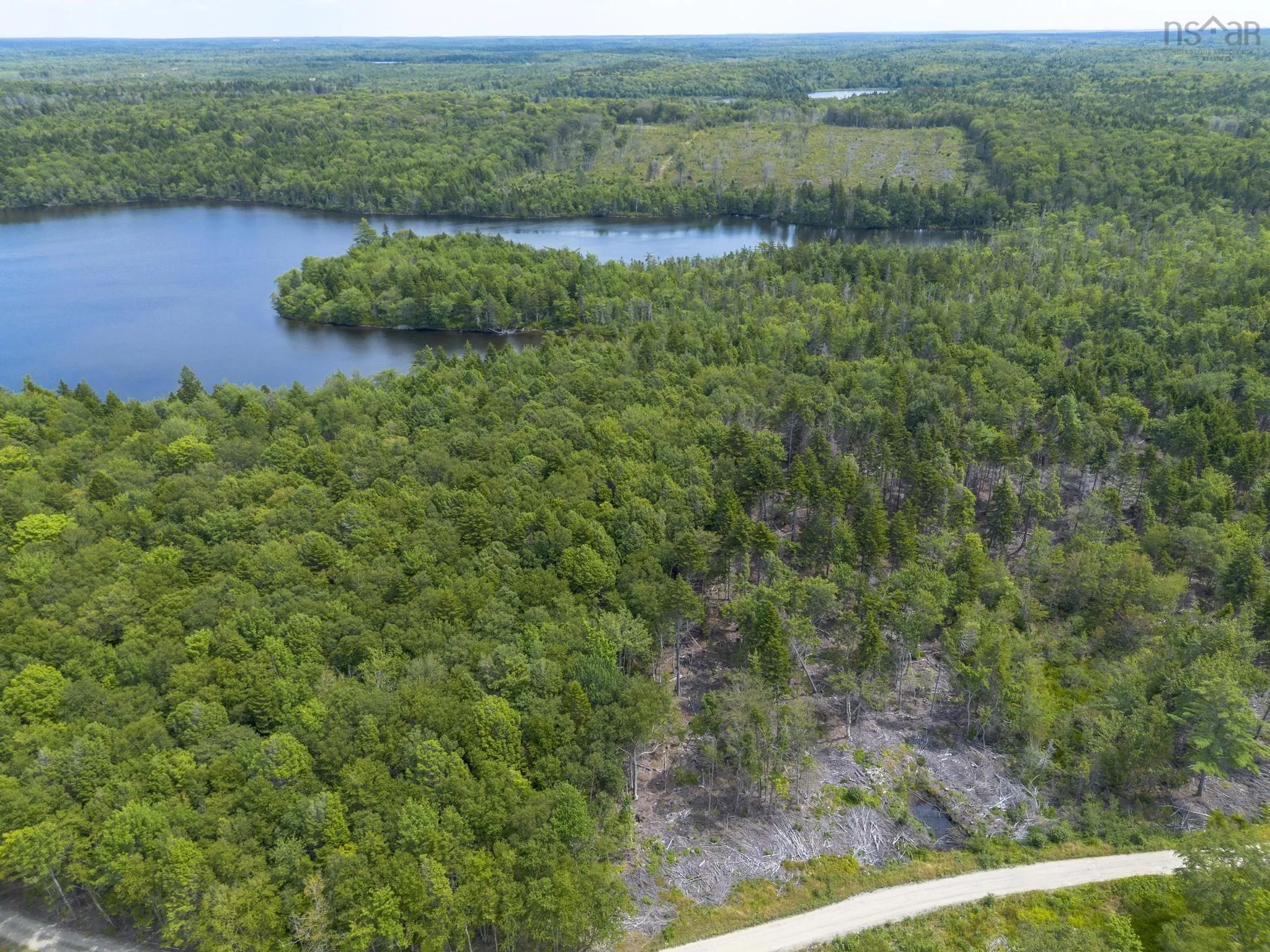 1 Bull Lake Road, Margo, NS B0W 1M0, ,Land,For Sale,Bull Lake,202520312