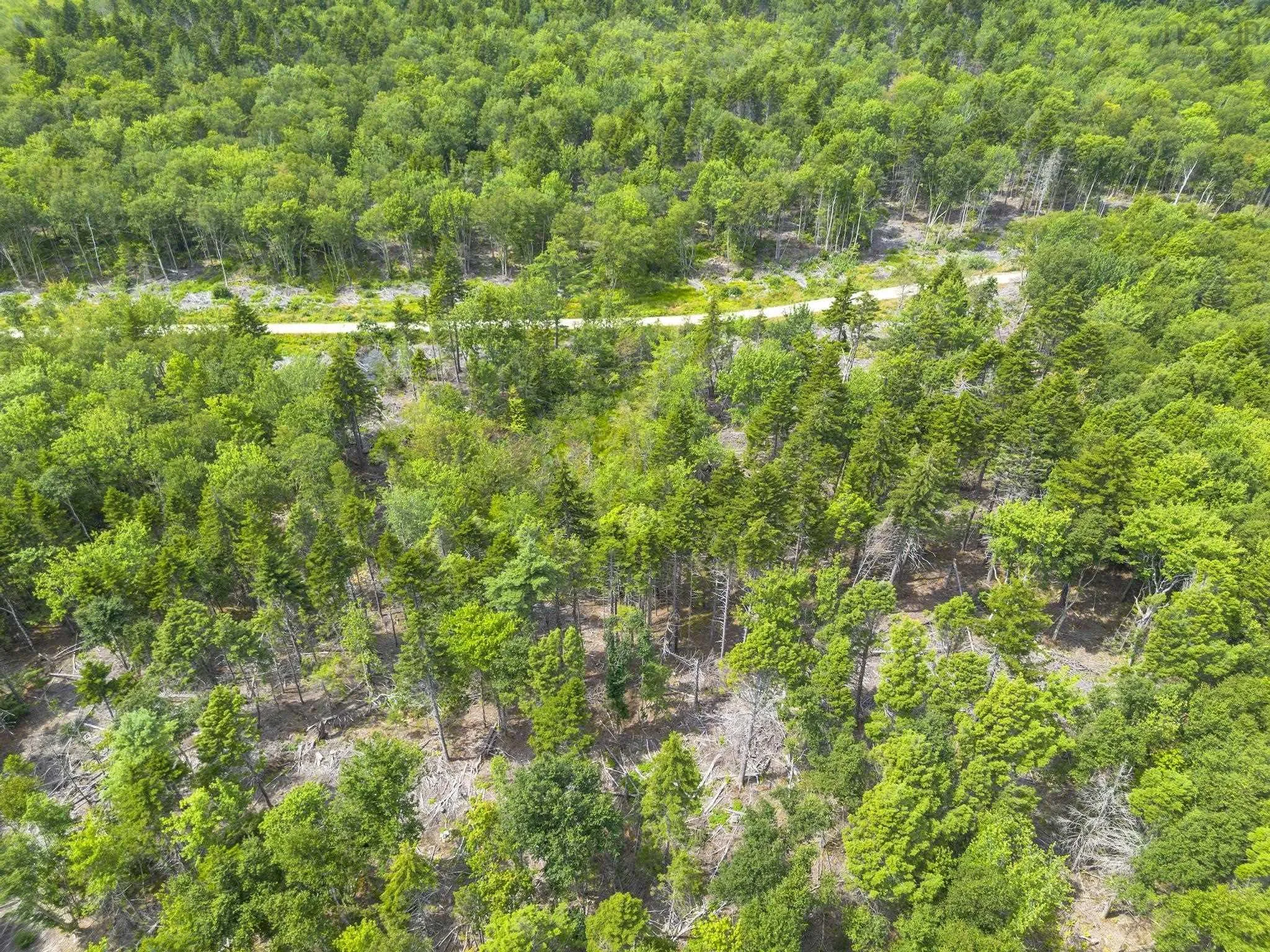 1 Bull Lake Road, Margo, NS B0W 1M0, ,Land,For Sale,Bull Lake,202520312