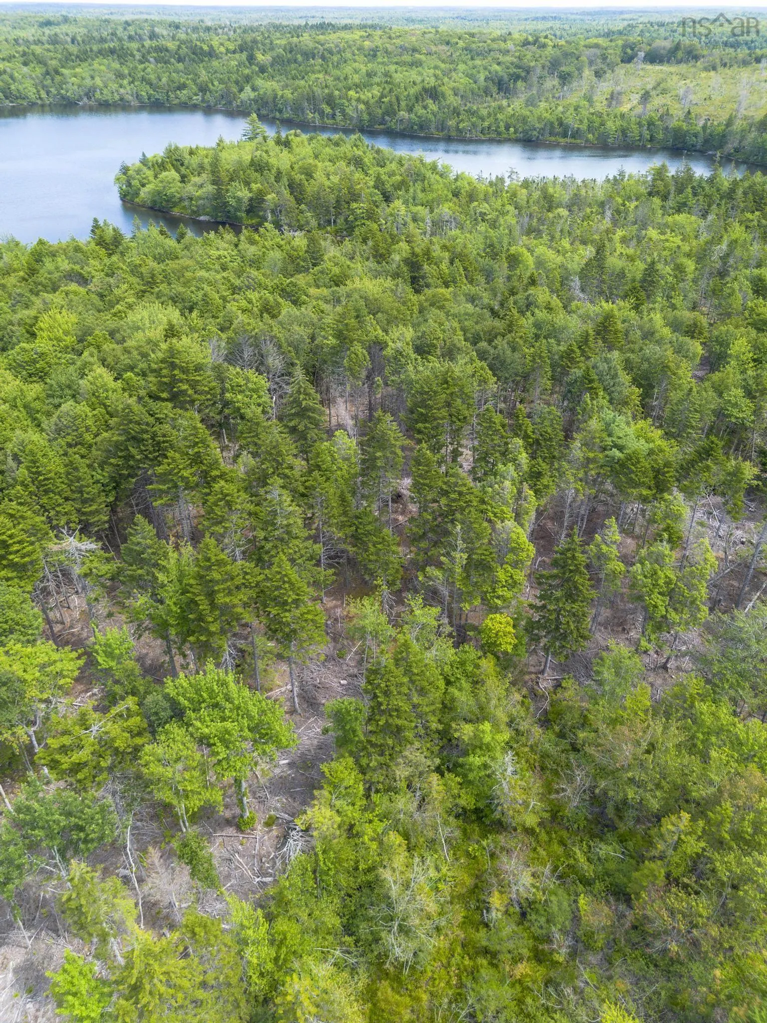 1 Bull Lake Road, Margo, NS B0W 1M0, ,Land,For Sale,Bull Lake,202520312