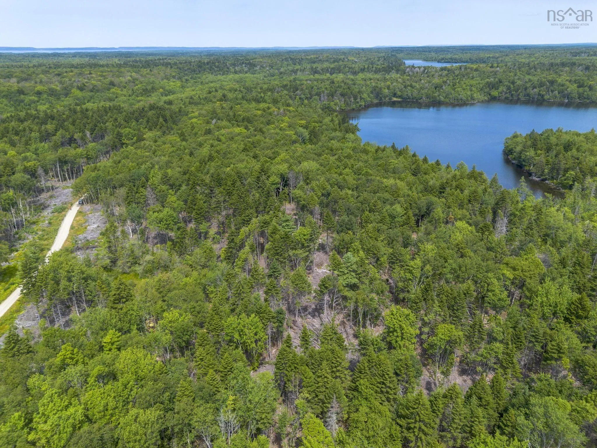 1 Bull Lake Road, Margo, NS B0W 1M0, ,Land,For Sale,Bull Lake,202520312