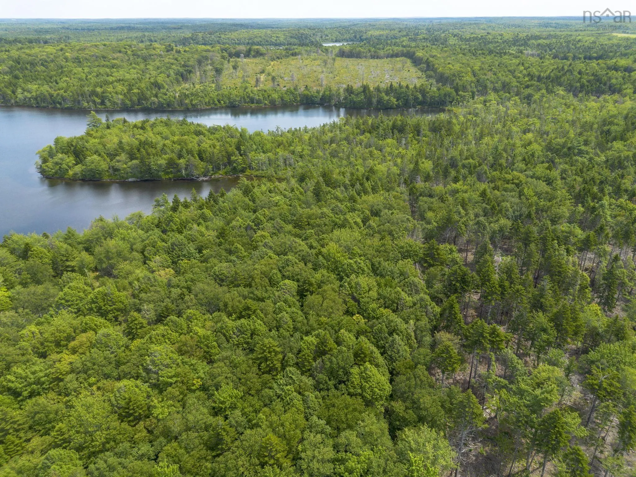 1 Bull Lake Road, Margo, NS B0W 1M0, ,Land,For Sale,Bull Lake,202520312