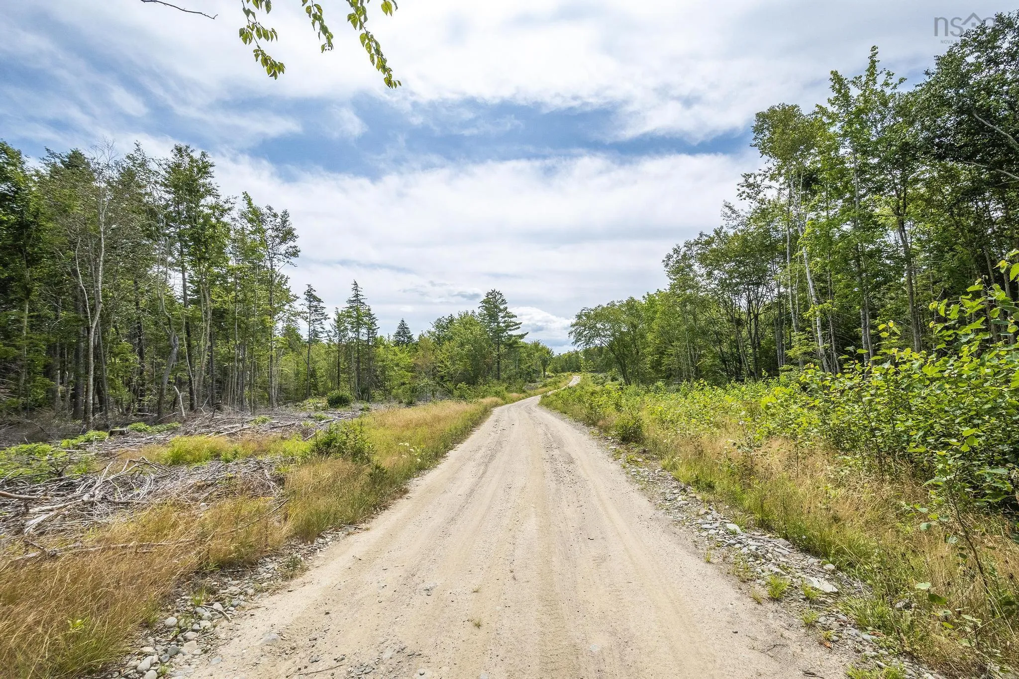 1 Bull Lake Road, Margo, NS B0W 1M0, ,Land,For Sale,Bull Lake,202520312
