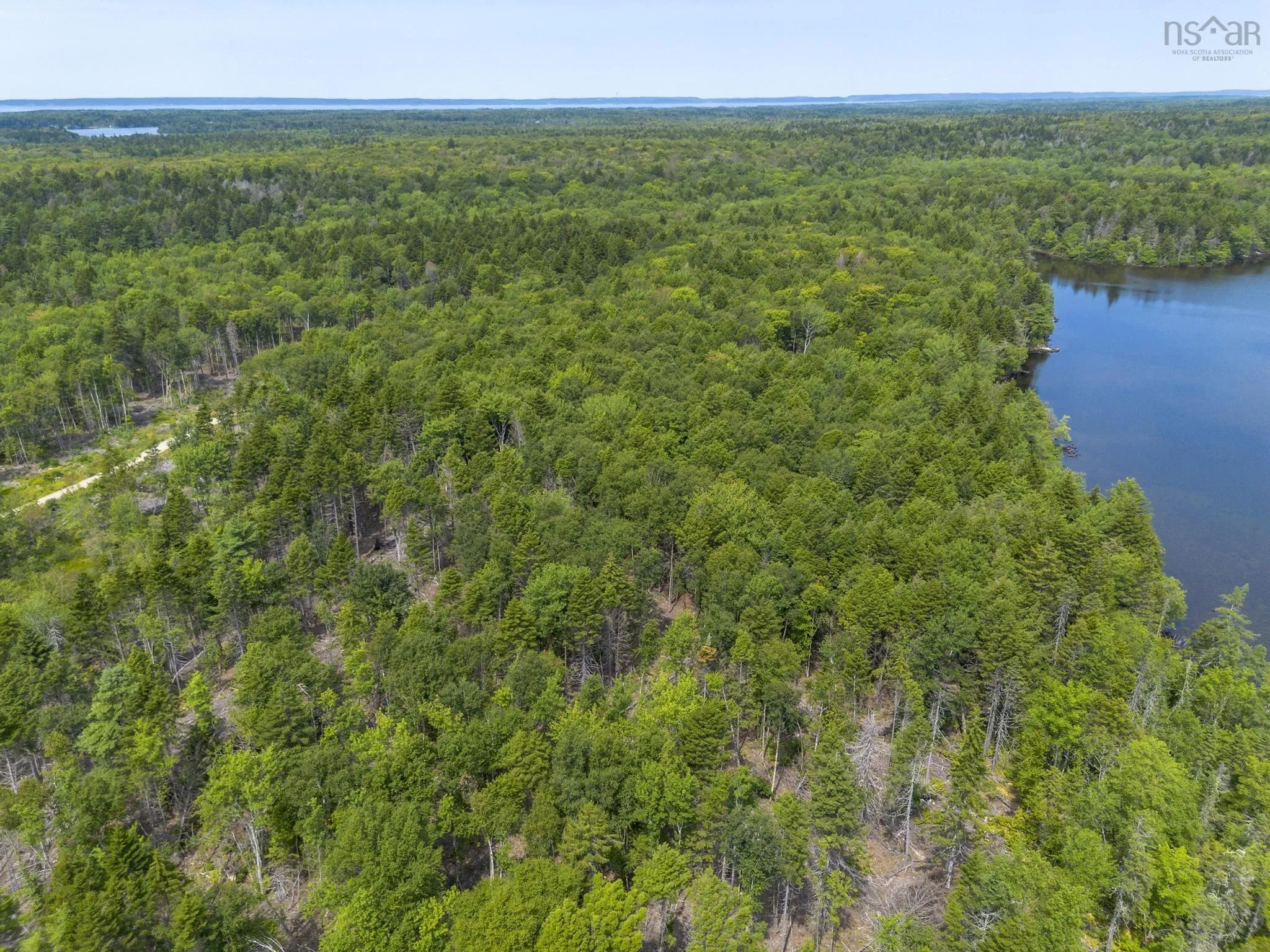 1 Bull Lake Road, Margo, NS B0W 1M0, ,Land,For Sale,Bull Lake,202520312
