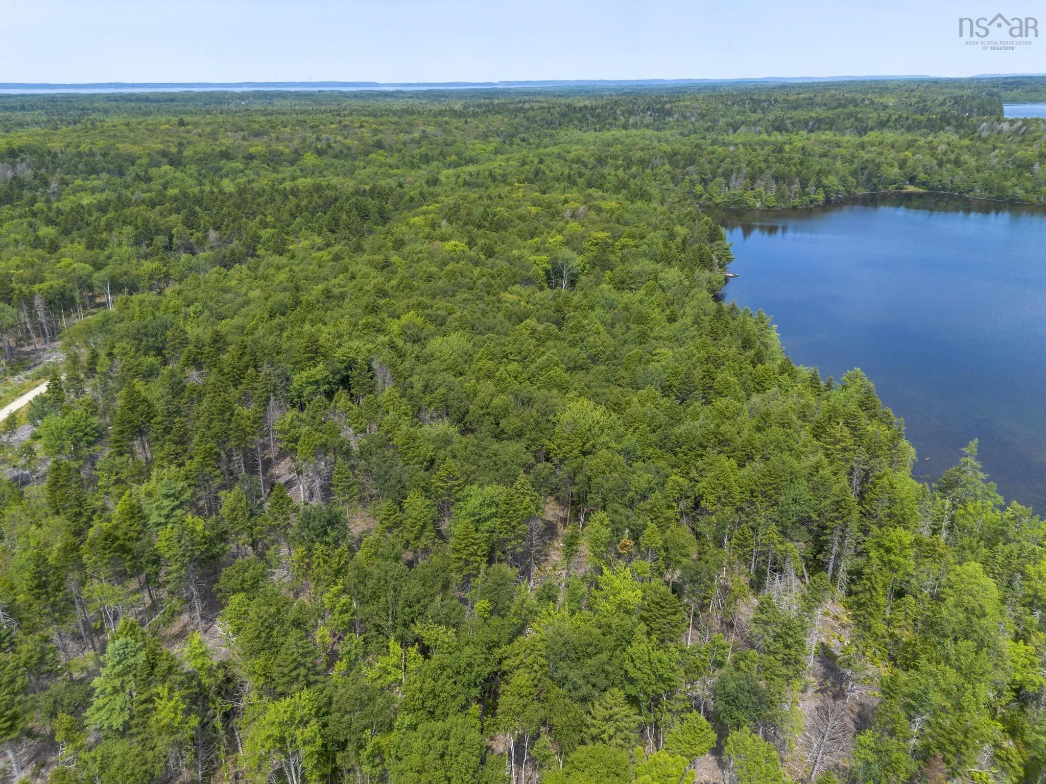 1 Bull Lake Road, Margo, NS B0W 1M0, ,Land,For Sale,Bull Lake,202520312