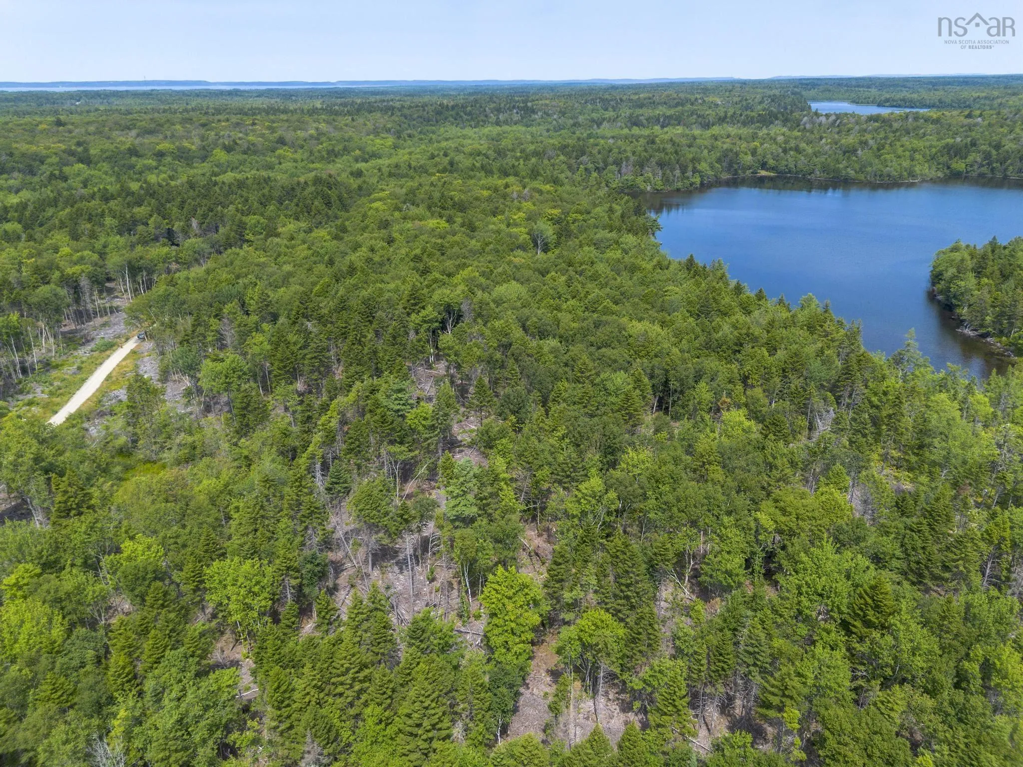 1 Bull Lake Road, Margo, NS B0W 1M0, ,Land,For Sale,Bull Lake,202520312