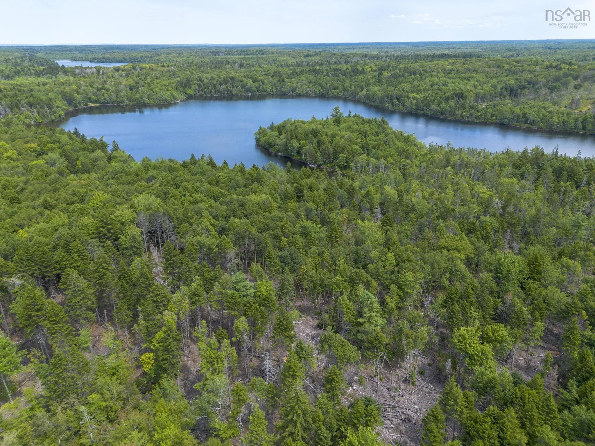 1 Bull Lake Road, Margo, NS B0W 1M0, ,Land,For Sale,Bull Lake,202520312