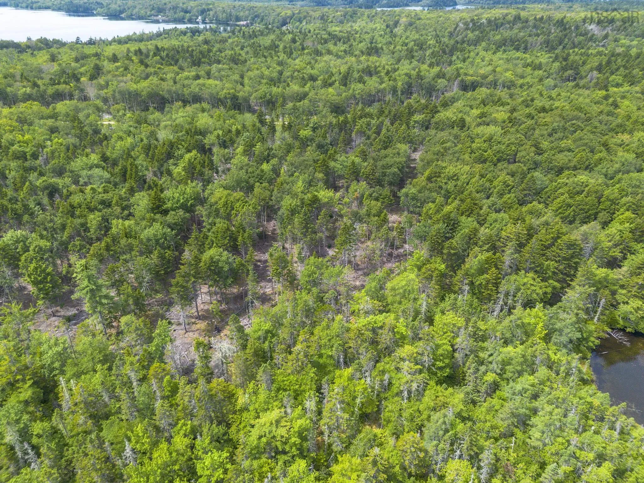 1 Bull Lake Road, Margo, NS B0W 1M0, ,Land,For Sale,Bull Lake,202520312