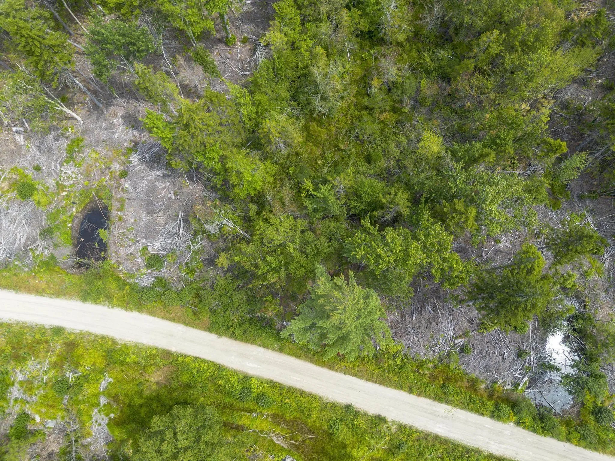 1 Bull Lake Road, Margo, NS B0W 1M0, ,Land,For Sale,Bull Lake,202520312
