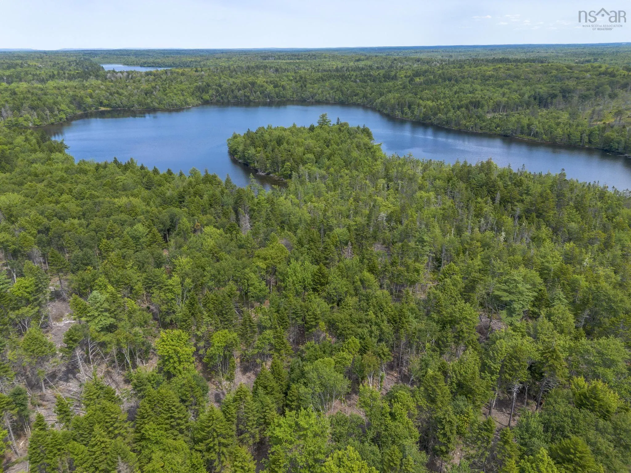 1 Bull Lake Road, Margo, NS B0W 1M0, ,Land,For Sale,Bull Lake,202520312