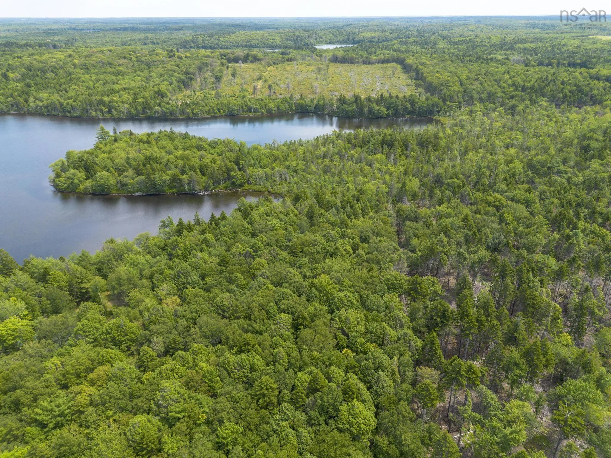 1 Bull Lake Road, Margo, NS B0W 1M0, ,Land,For Sale,Bull Lake,202520312