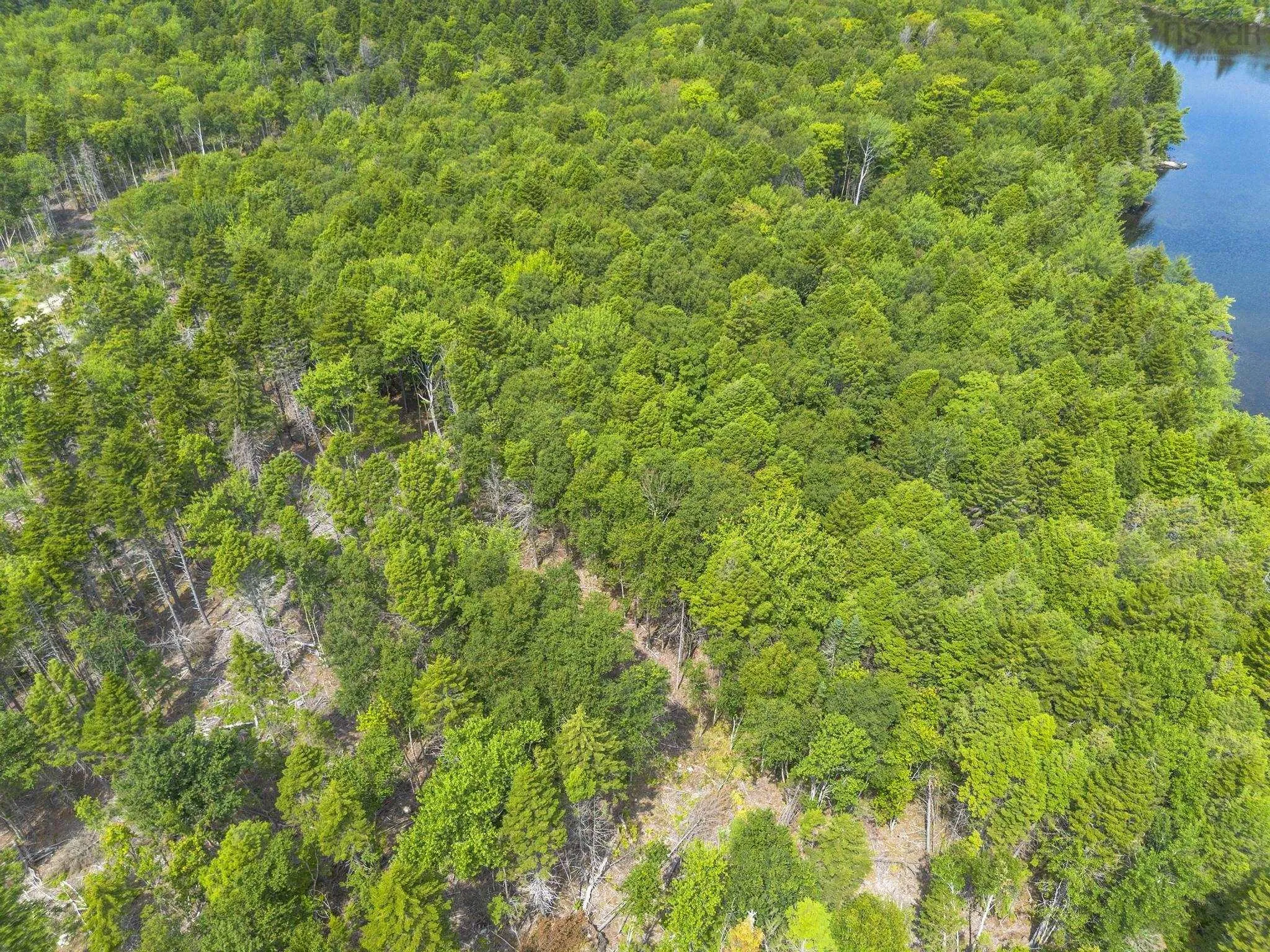 1 Bull Lake Road, Margo, NS B0W 1M0, ,Land,For Sale,Bull Lake,202520312
