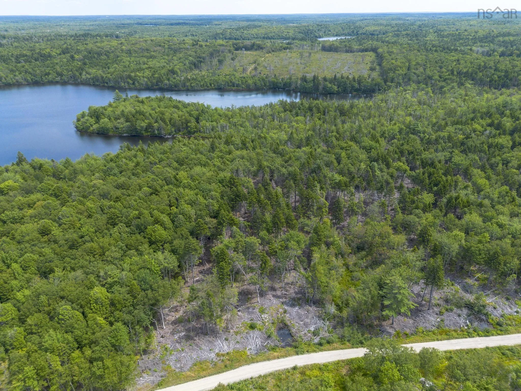 1 Bull Lake Road, Margo, NS B0W 1M0, ,Land,For Sale,Bull Lake,202520312