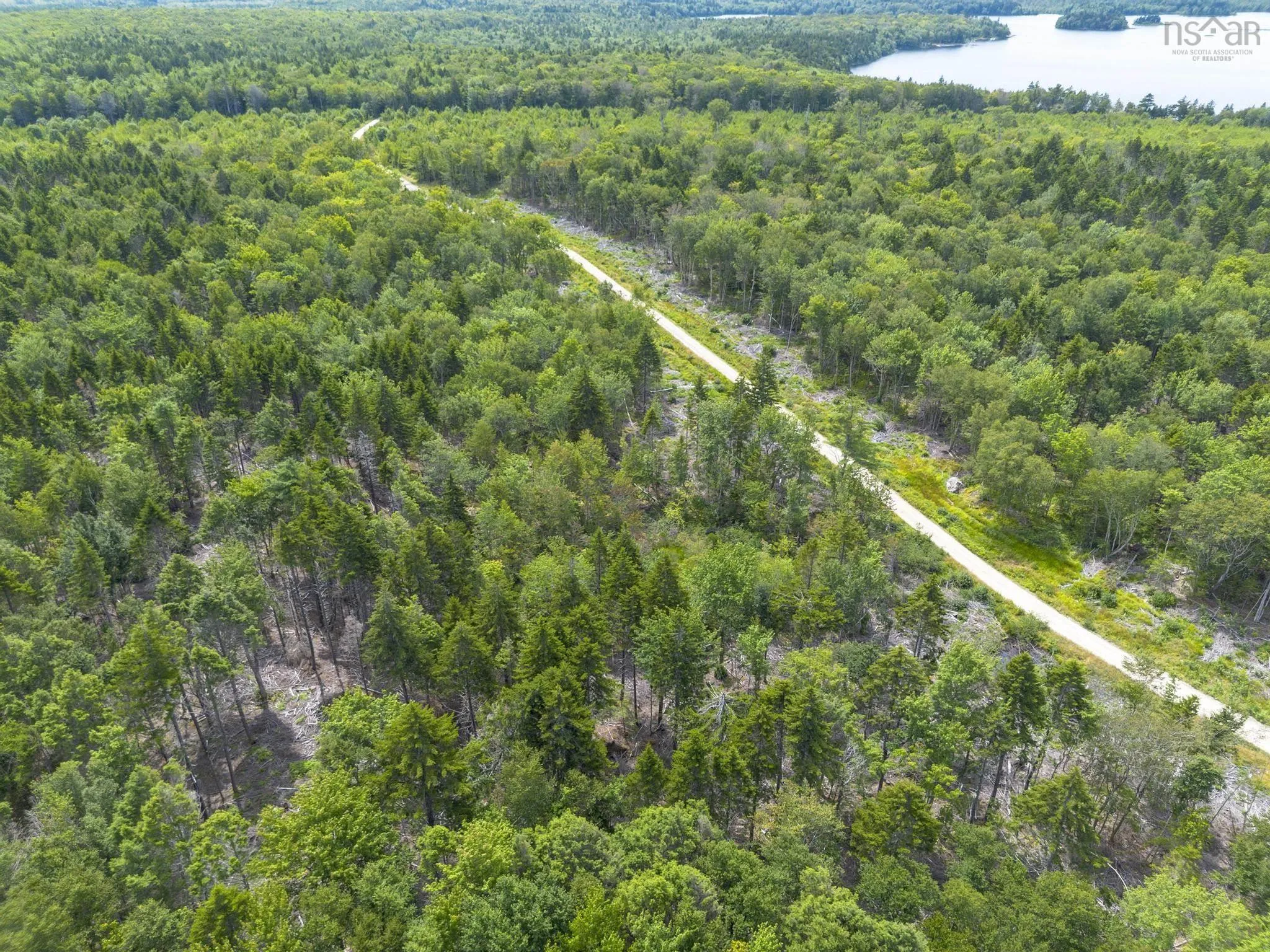1 Bull Lake Road, Margo, NS B0W 1M0, ,Land,For Sale,Bull Lake,202520312