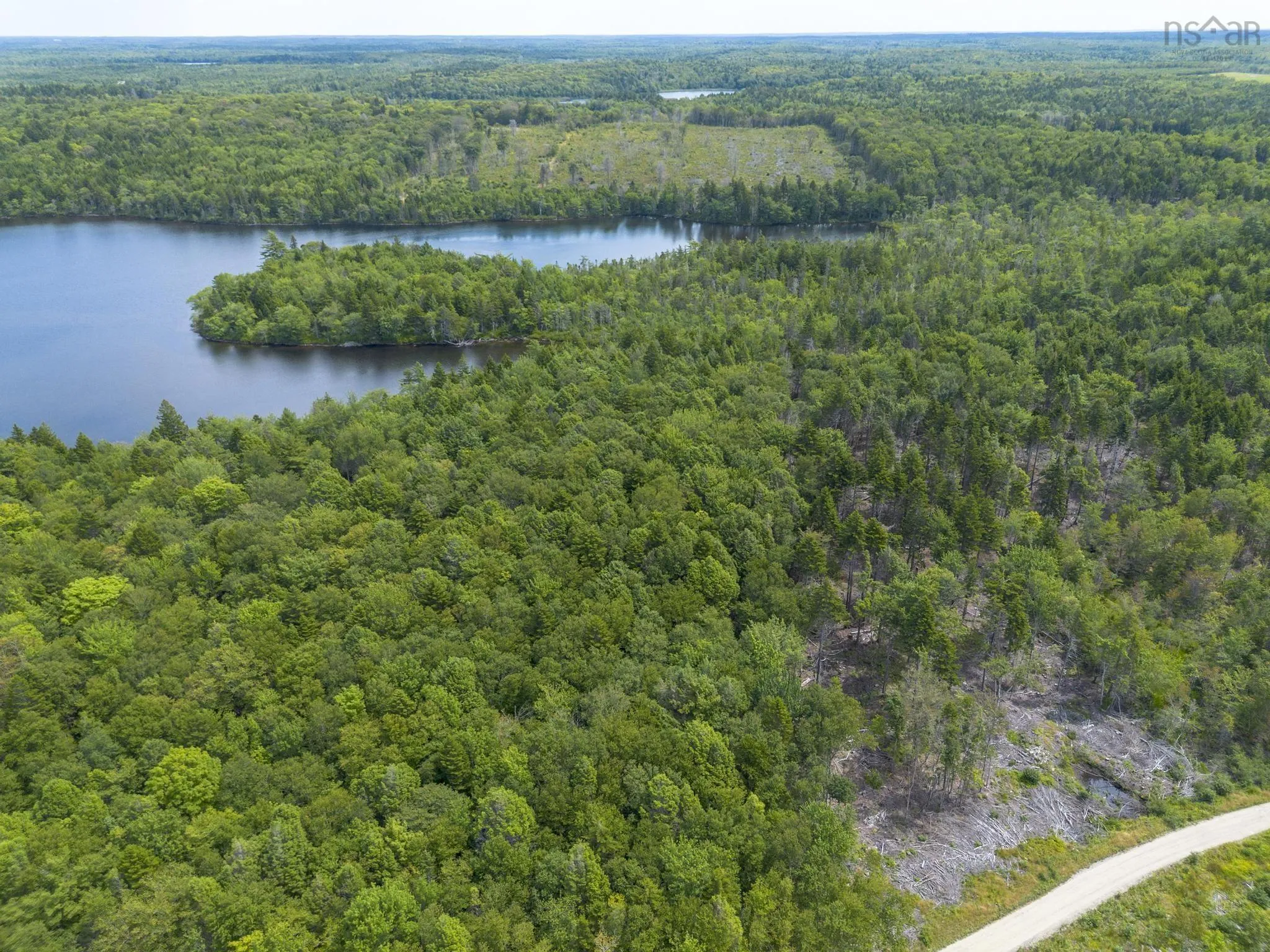 1 Bull Lake Road, Margo, NS B0W 1M0, ,Land,For Sale,Bull Lake,202520312