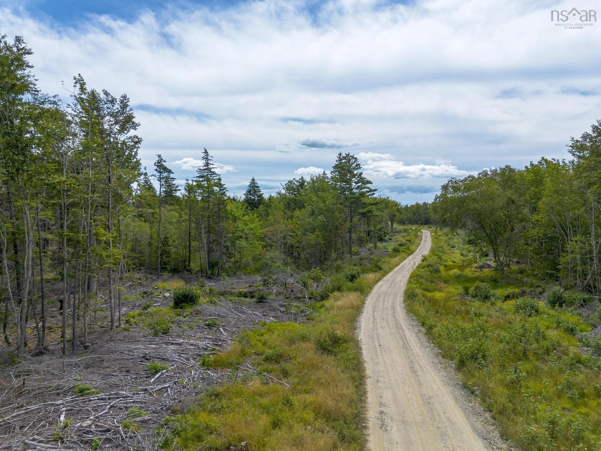 1 Bull Lake Road, Margo, NS B0W 1M0, ,Land,For Sale,Bull Lake,202520312
