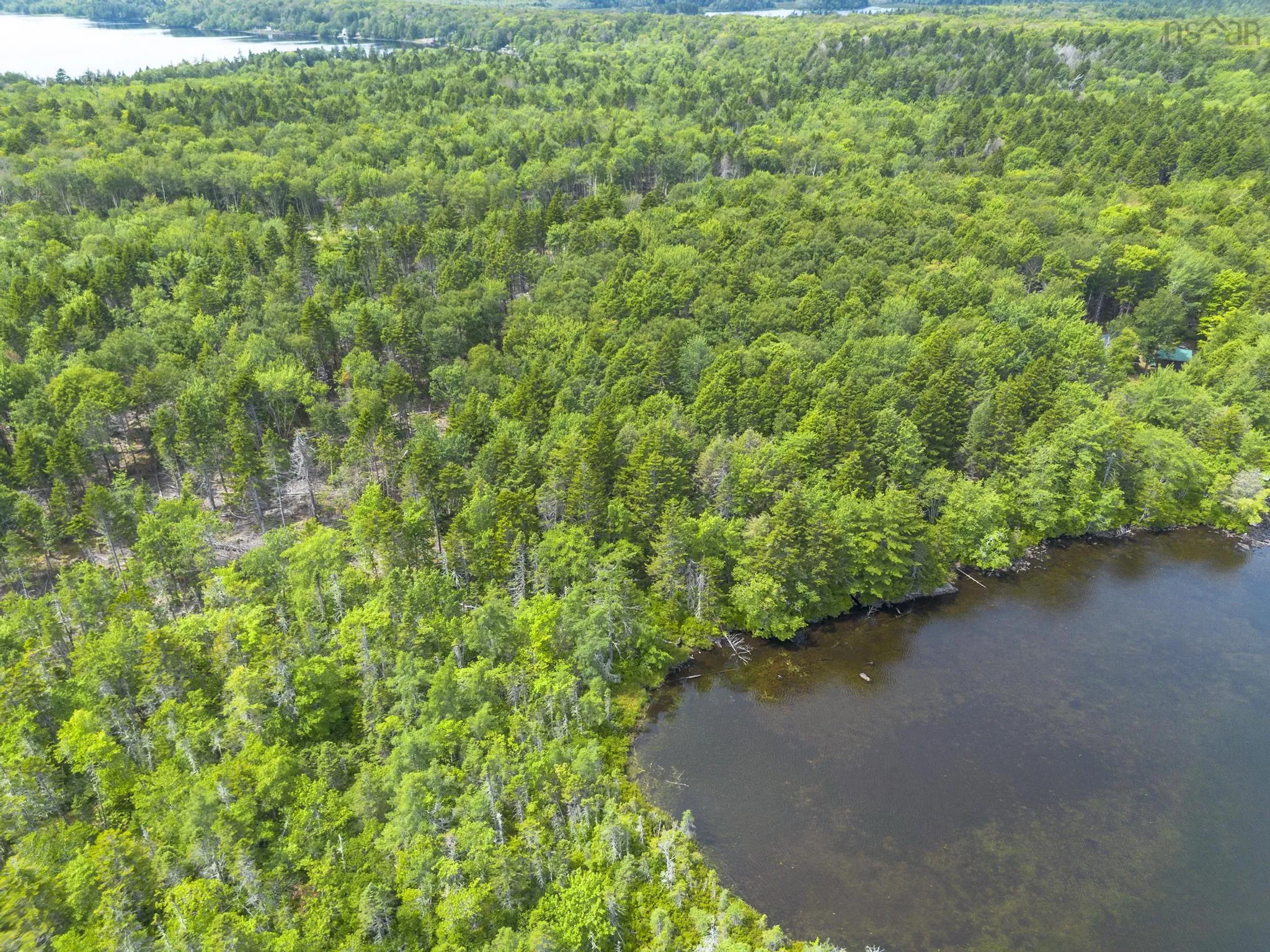 1 Bull Lake Road, Margo, NS B0W 1M0, ,Land,For Sale,Bull Lake,202520312