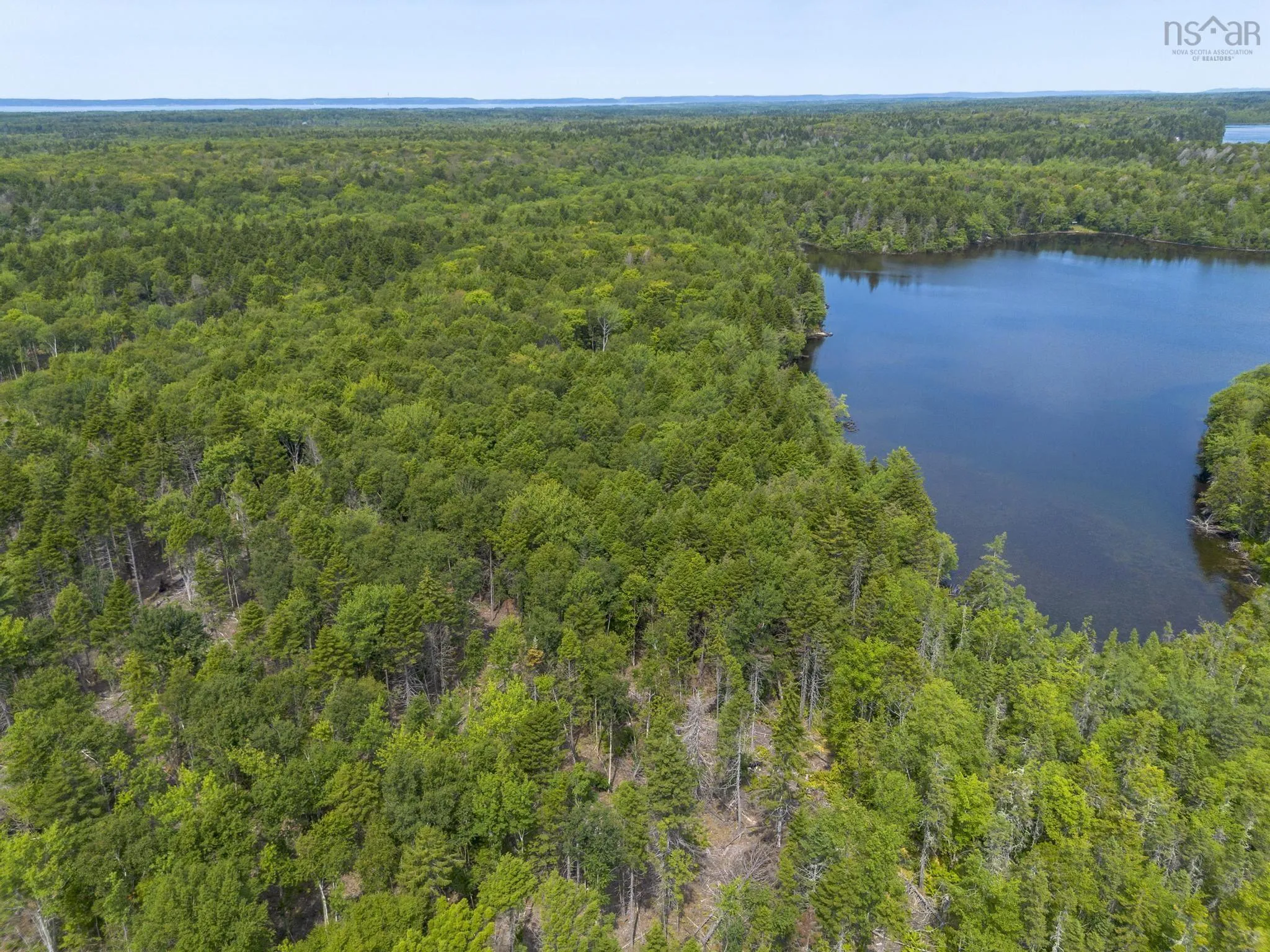 1 Bull Lake Road, Margo, NS B0W 1M0, ,Land,For Sale,Bull Lake,202520312