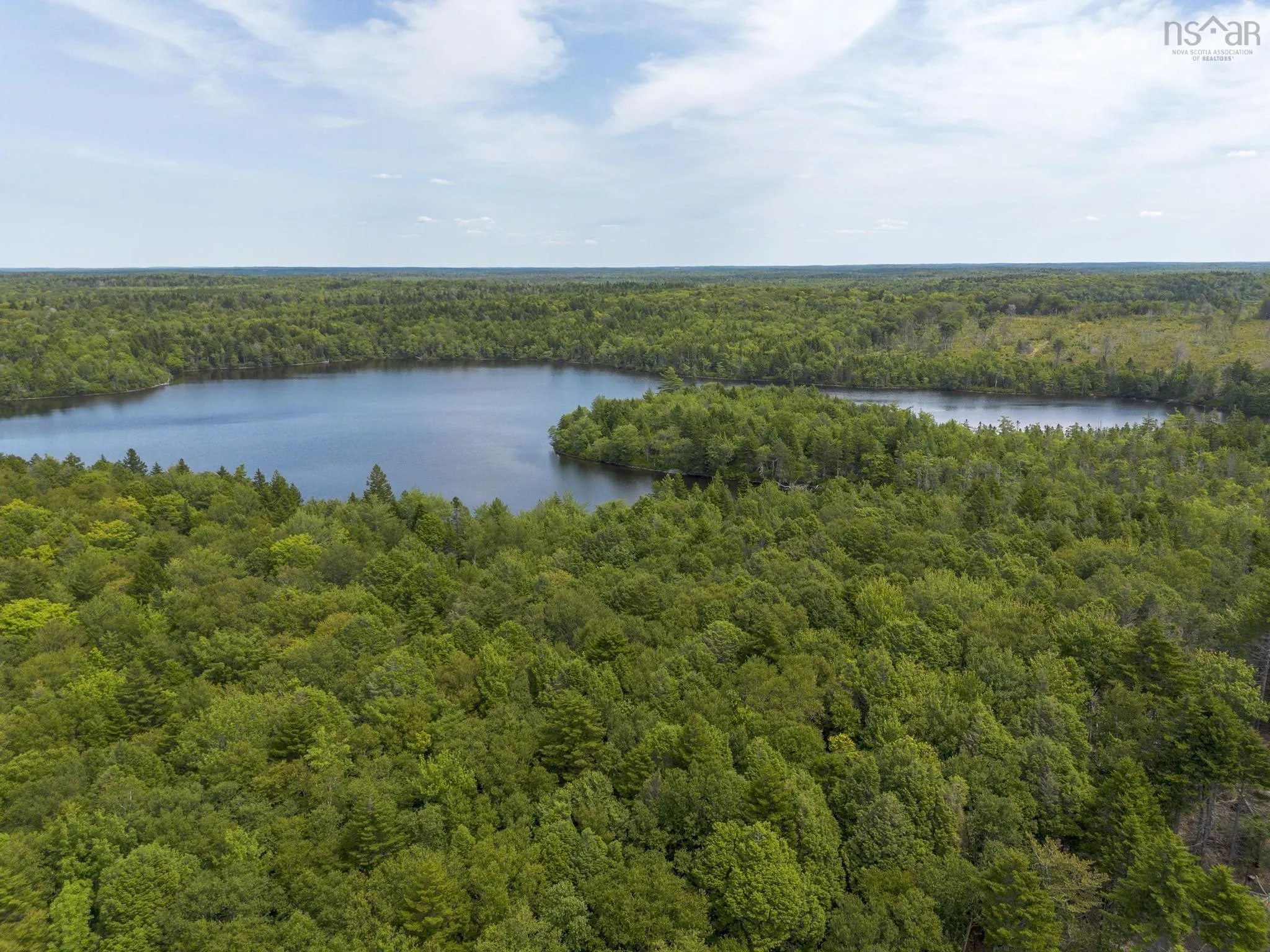1 Bull Lake Road, Margo, NS B0W 1M0, ,Land,For Sale,Bull Lake,202520312