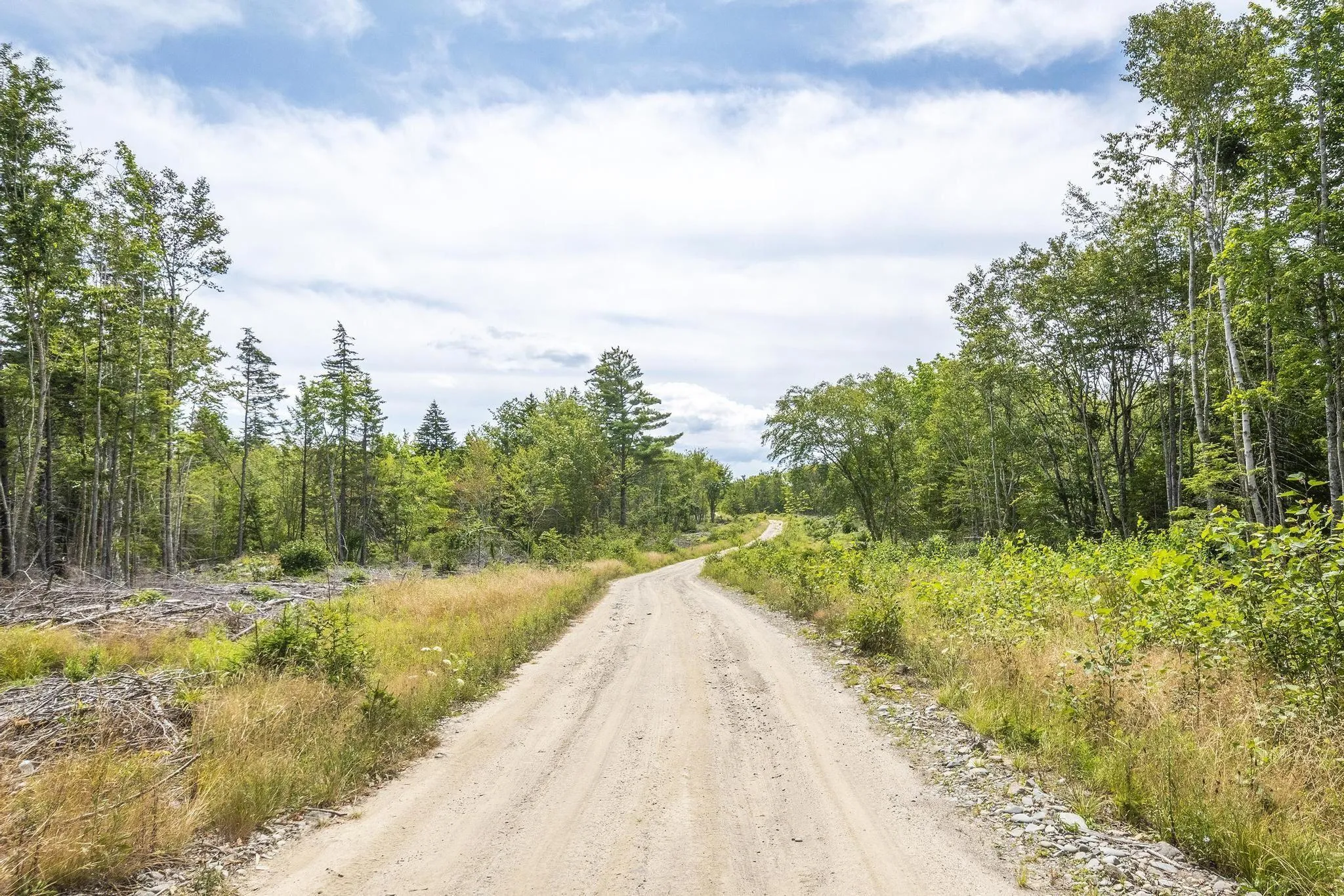1 Bull Lake Road, Margo, NS B0W 1M0, ,Land,For Sale,Bull Lake,202520312