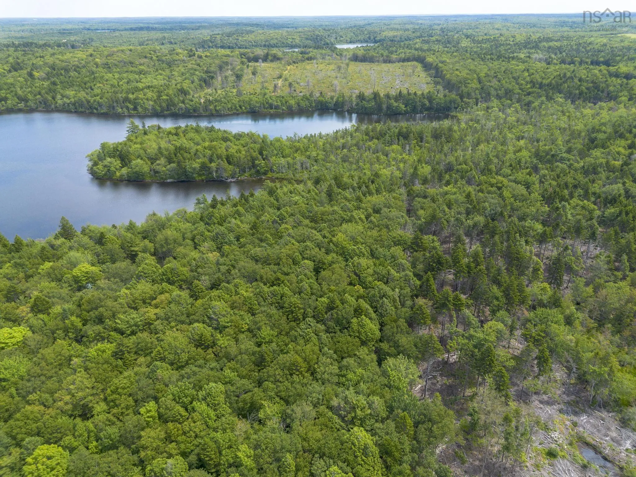 1 Bull Lake Road, Margo, NS B0W 1M0, ,Land,For Sale,Bull Lake,202520312