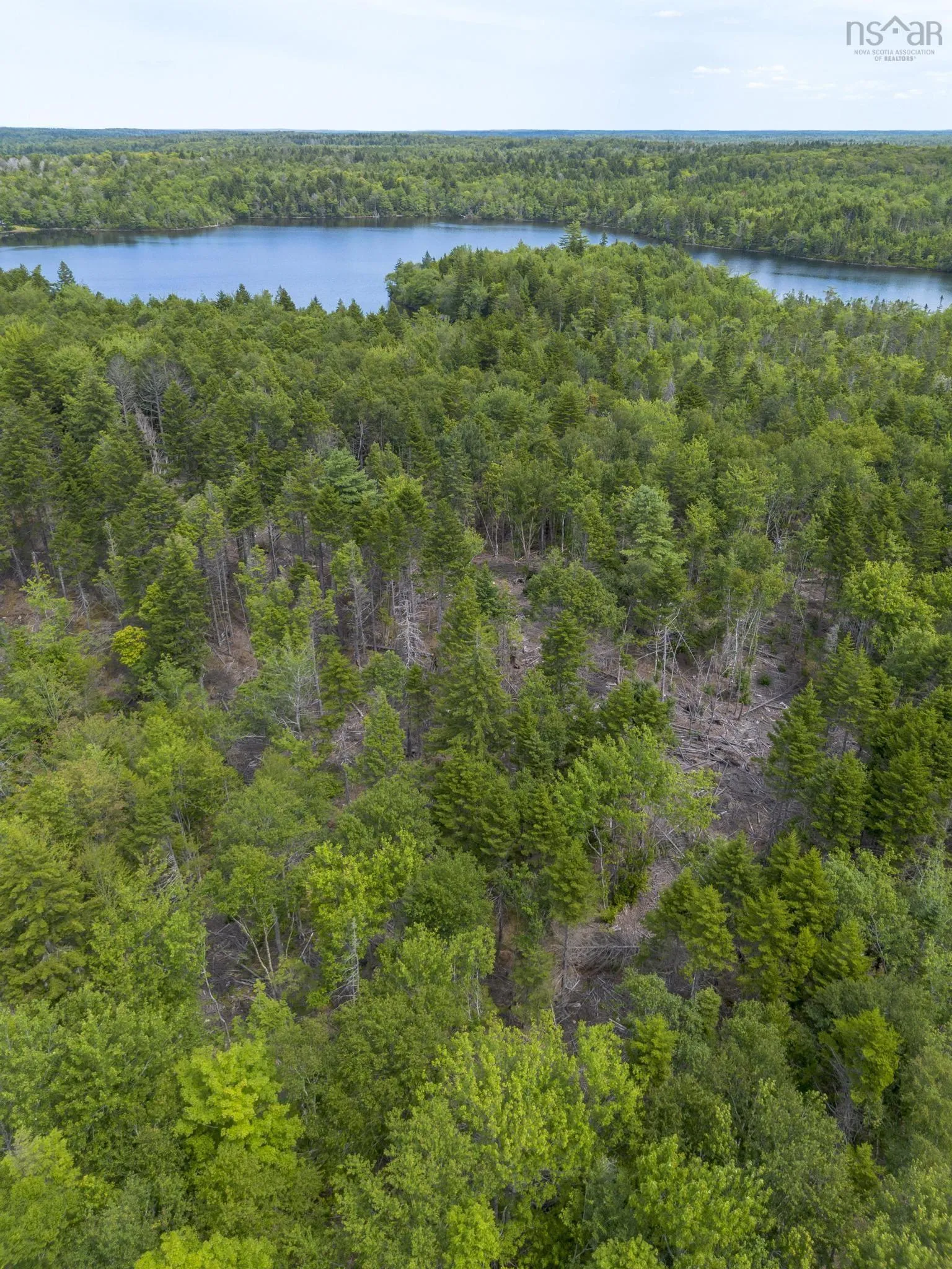 1 Bull Lake Road, Margo, NS B0W 1M0, ,Land,For Sale,Bull Lake,202520312