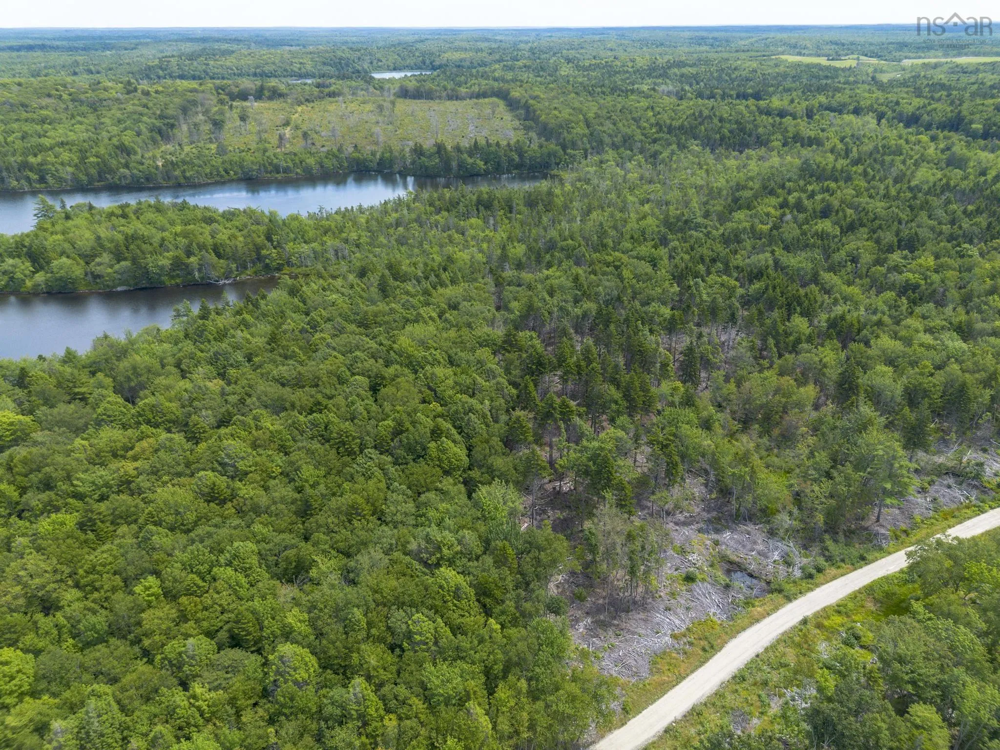 1 Bull Lake Road, Margo, NS B0W 1M0, ,Land,For Sale,Bull Lake,202520312