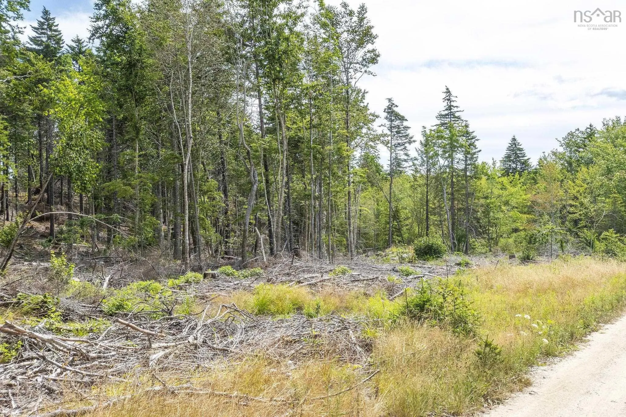 1 Bull Lake Road, Margo, NS B0W 1M0, ,Land,For Sale,Bull Lake,202520312