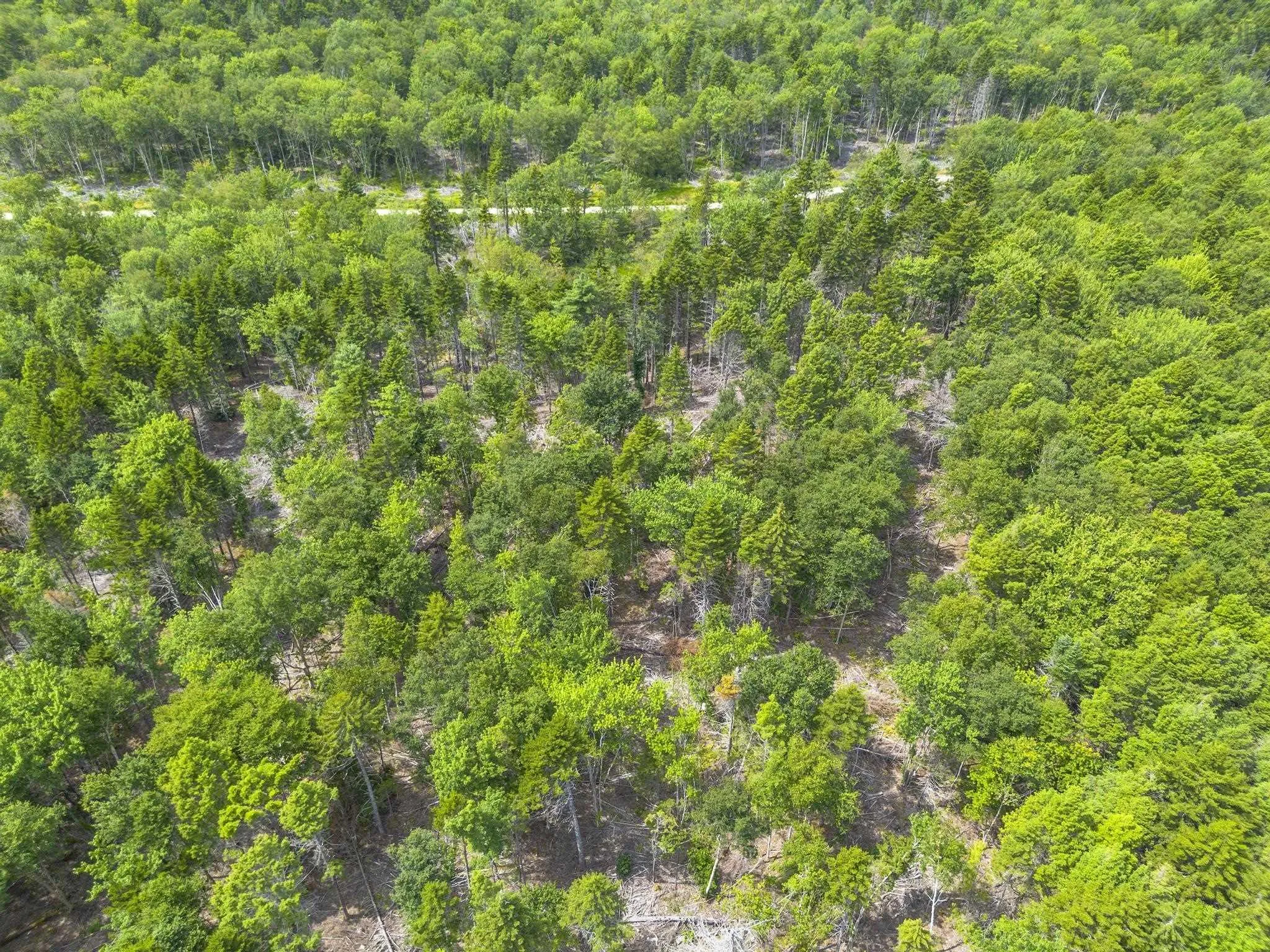 1 Bull Lake Road, Margo, NS B0W 1M0, ,Land,For Sale,Bull Lake,202520312