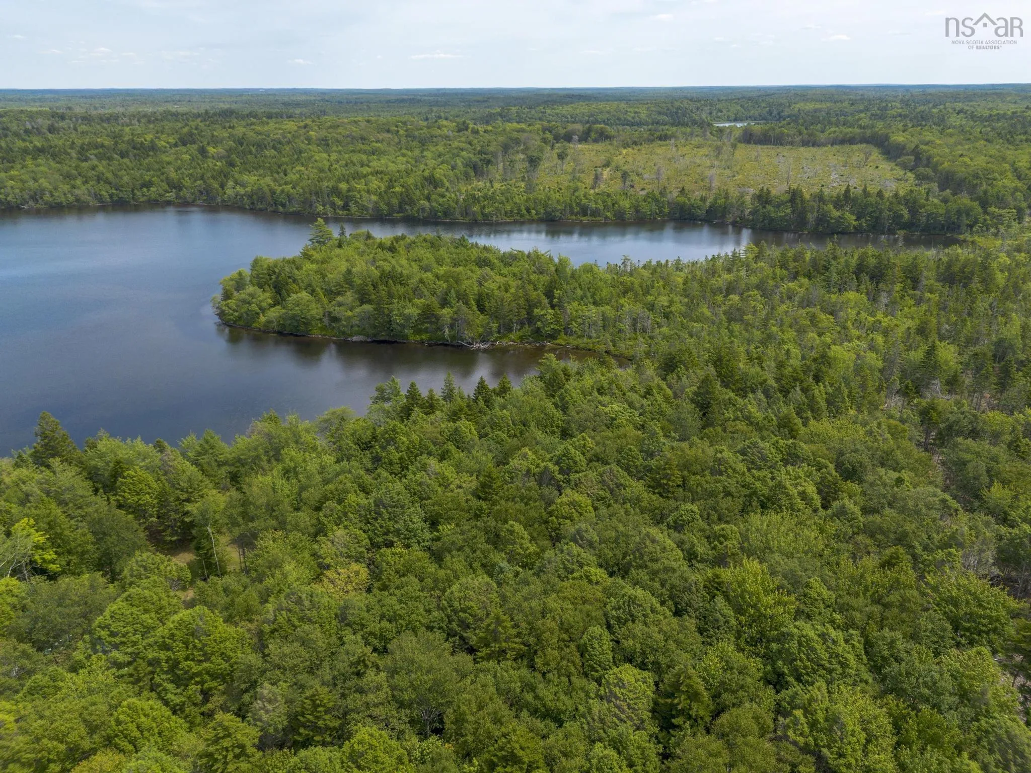 1 Bull Lake Road, Margo, NS B0W 1M0, ,Land,For Sale,Bull Lake,202520312
