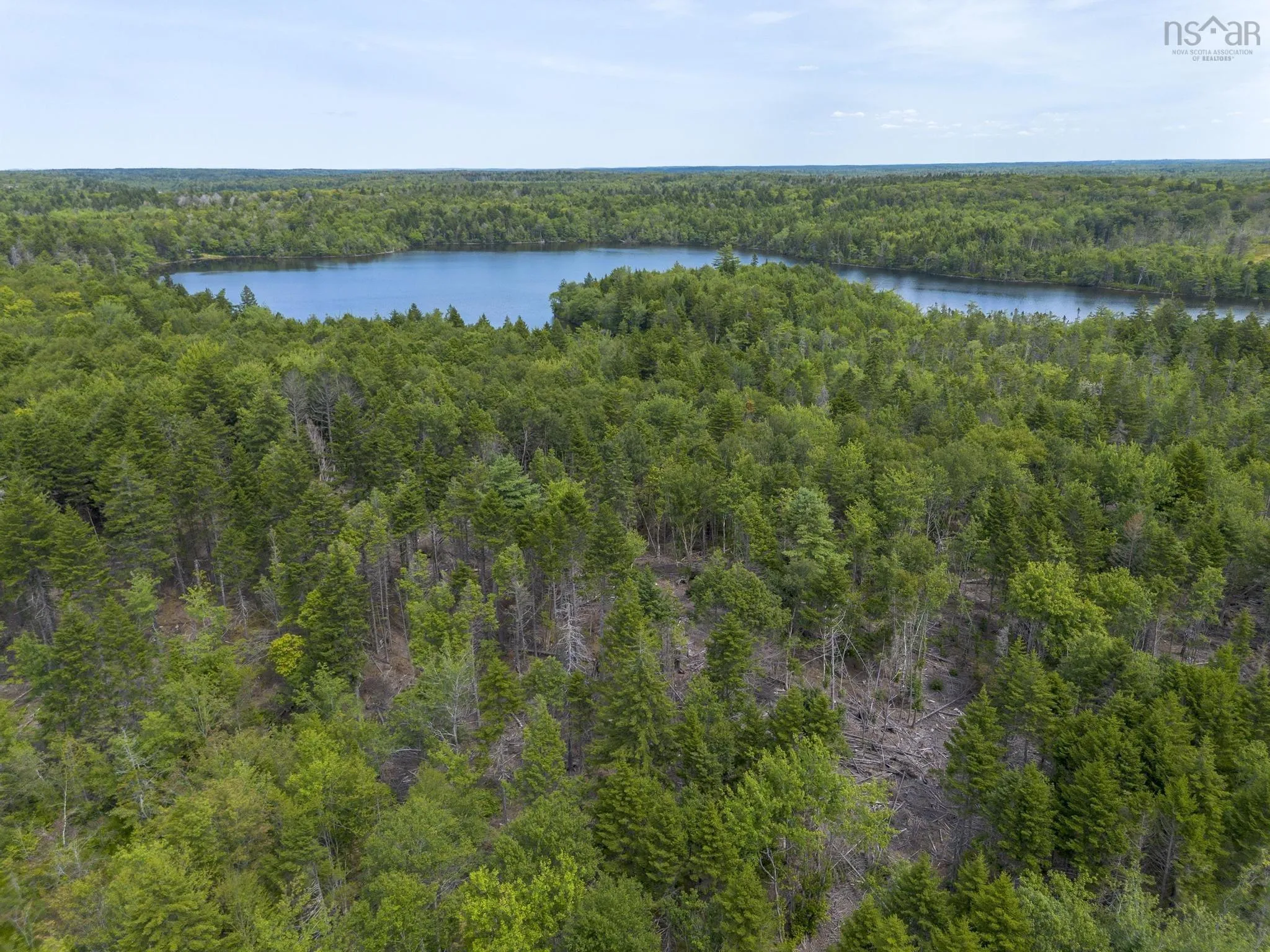 1 Bull Lake Road, Margo, NS B0W 1M0, ,Land,For Sale,Bull Lake,202520312