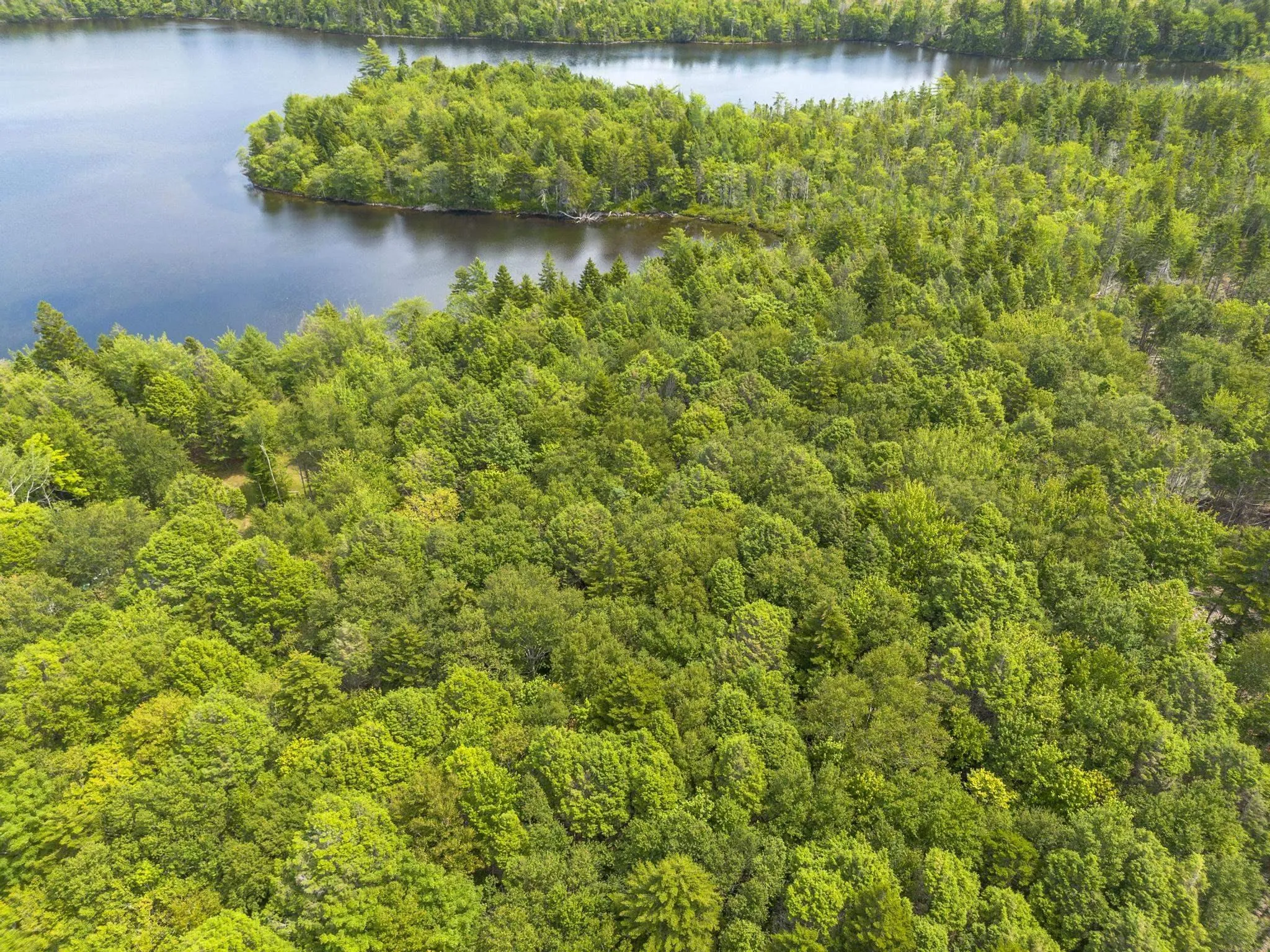 1 Bull Lake Road, Margo, NS B0W 1M0, ,Land,For Sale,Bull Lake,202520312