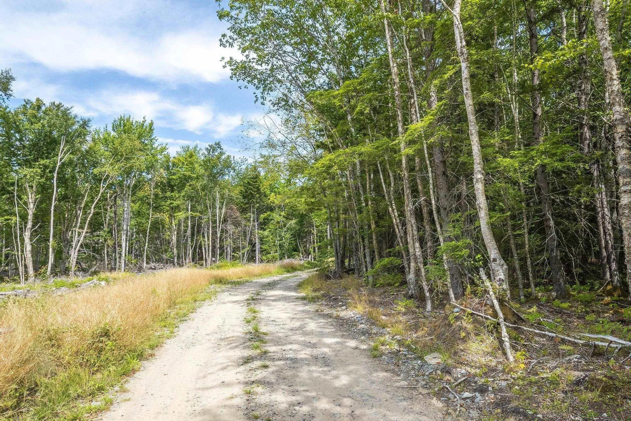 1 Bull Lake Road, Margo, NS B0W 1M0, ,Land,For Sale,Bull Lake,202520312