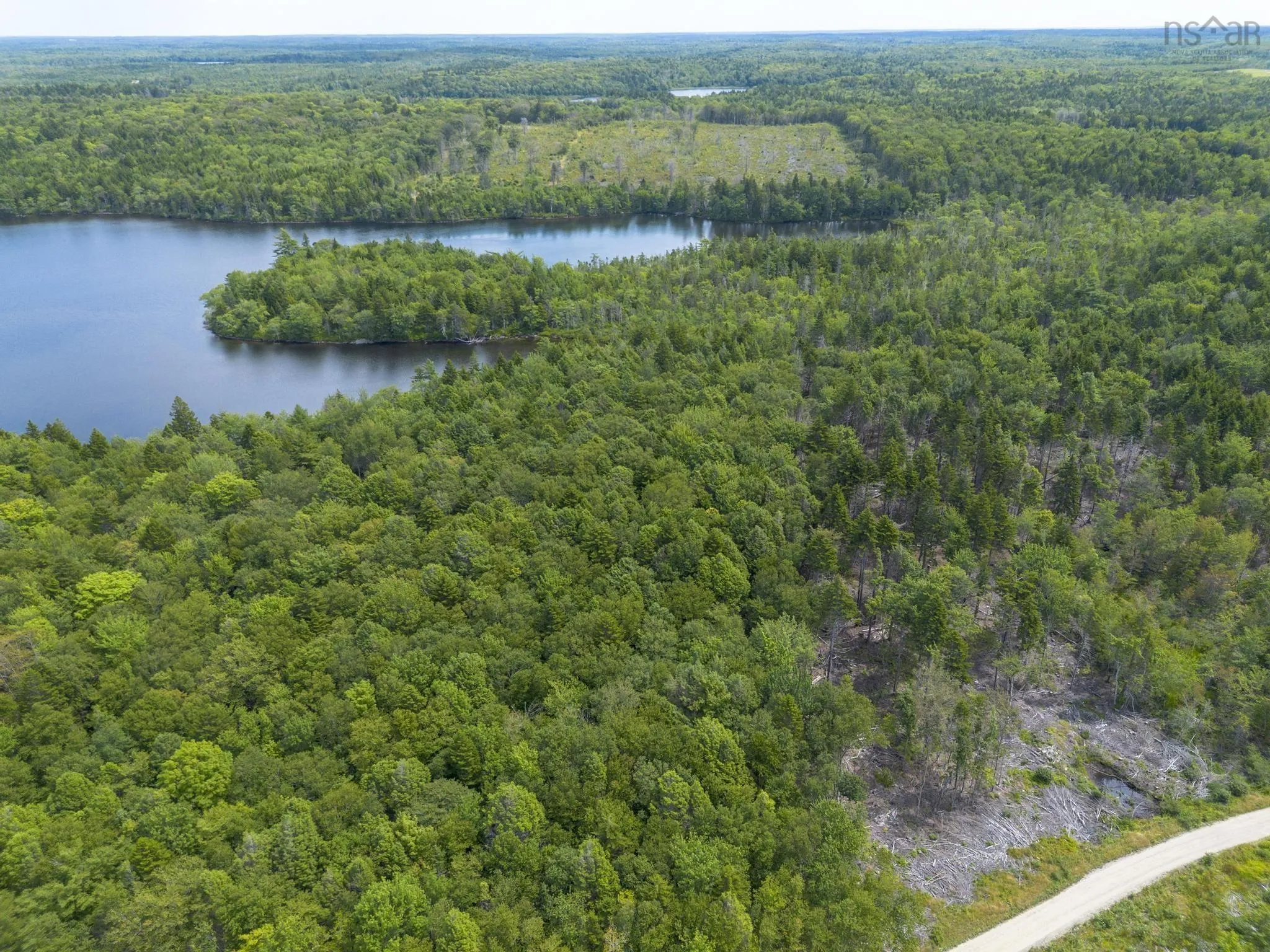 1 Bull Lake Road, Margo, NS B0W 1M0, ,Land,For Sale,Bull Lake,202520312