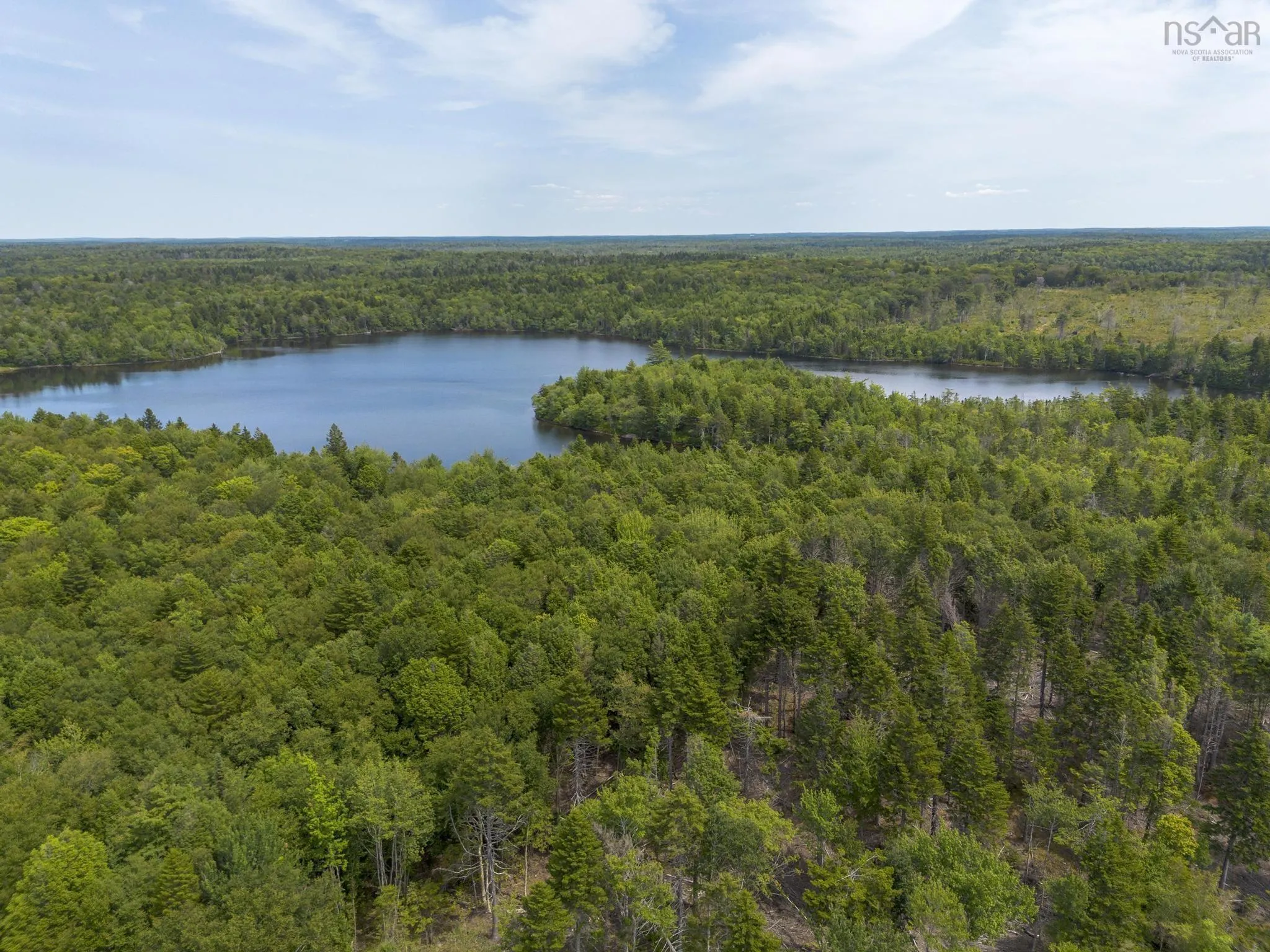 1 Bull Lake Road, Margo, NS B0W 1M0, ,Land,For Sale,Bull Lake,202520312