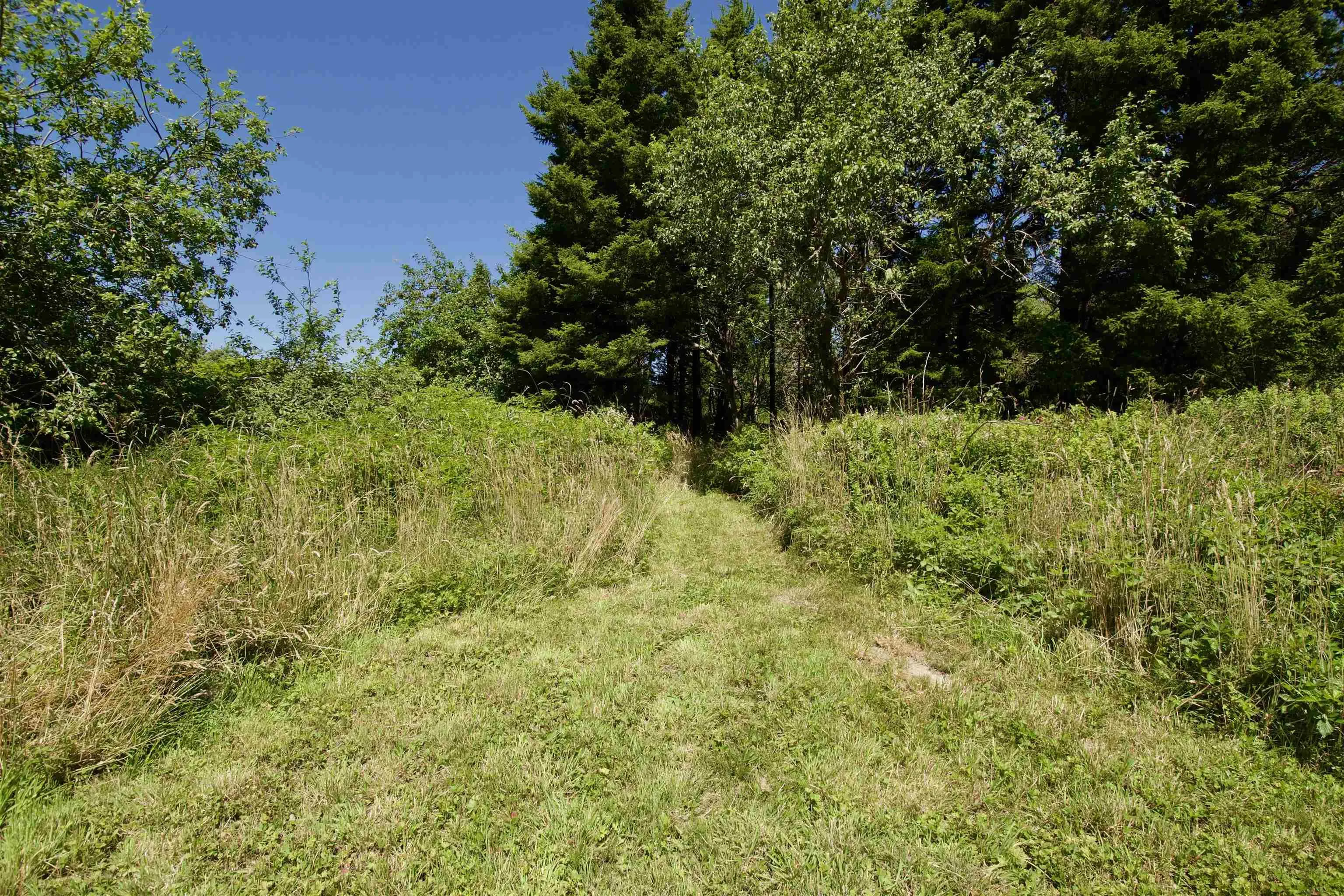 2450 West Sable Road, Little Harbour, NS B0T 1V0, 3 Bedrooms Bedrooms, ,1 BathroomBathrooms,Residential,For Sale,West Sable,202519220