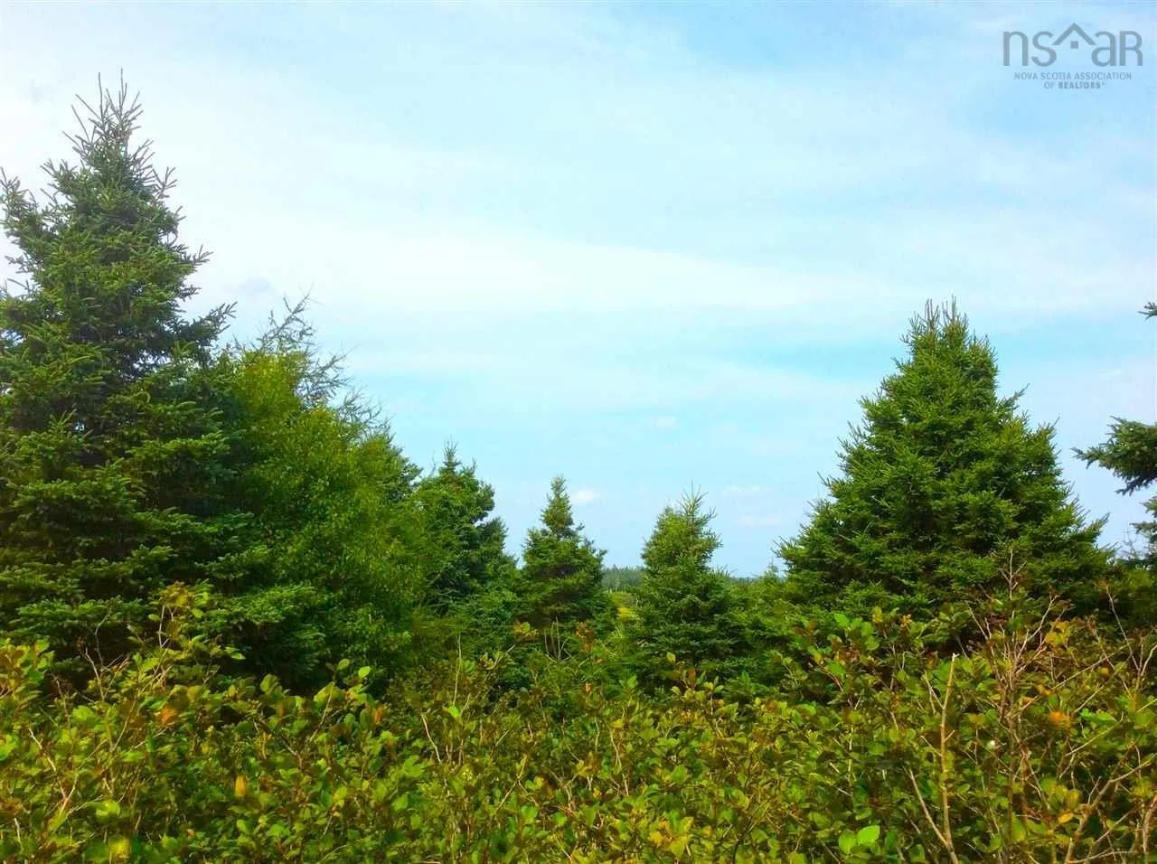 0 Crooked Lake Road Lot 4, Framboise, NS B2L 1C2, ,Land,For Sale,Crooked Lake,202519620