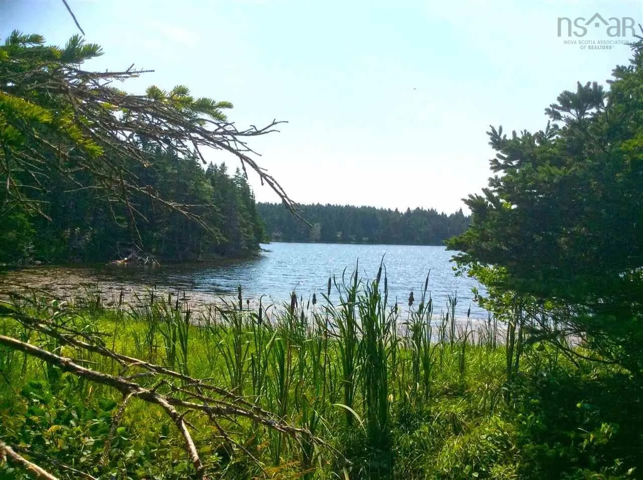 0 Crooked Lake Road Lot 4, Framboise, NS B2L 1C2, ,Land,For Sale,Crooked Lake,202519620