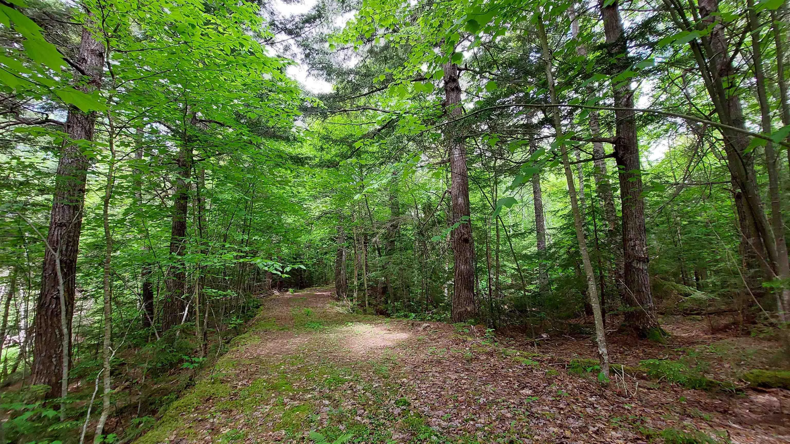 Lot 20 Redbird Dr, Malagawatch, NS B0E 2Y0, ,Land,For Sale,Redbird Dr,202519688