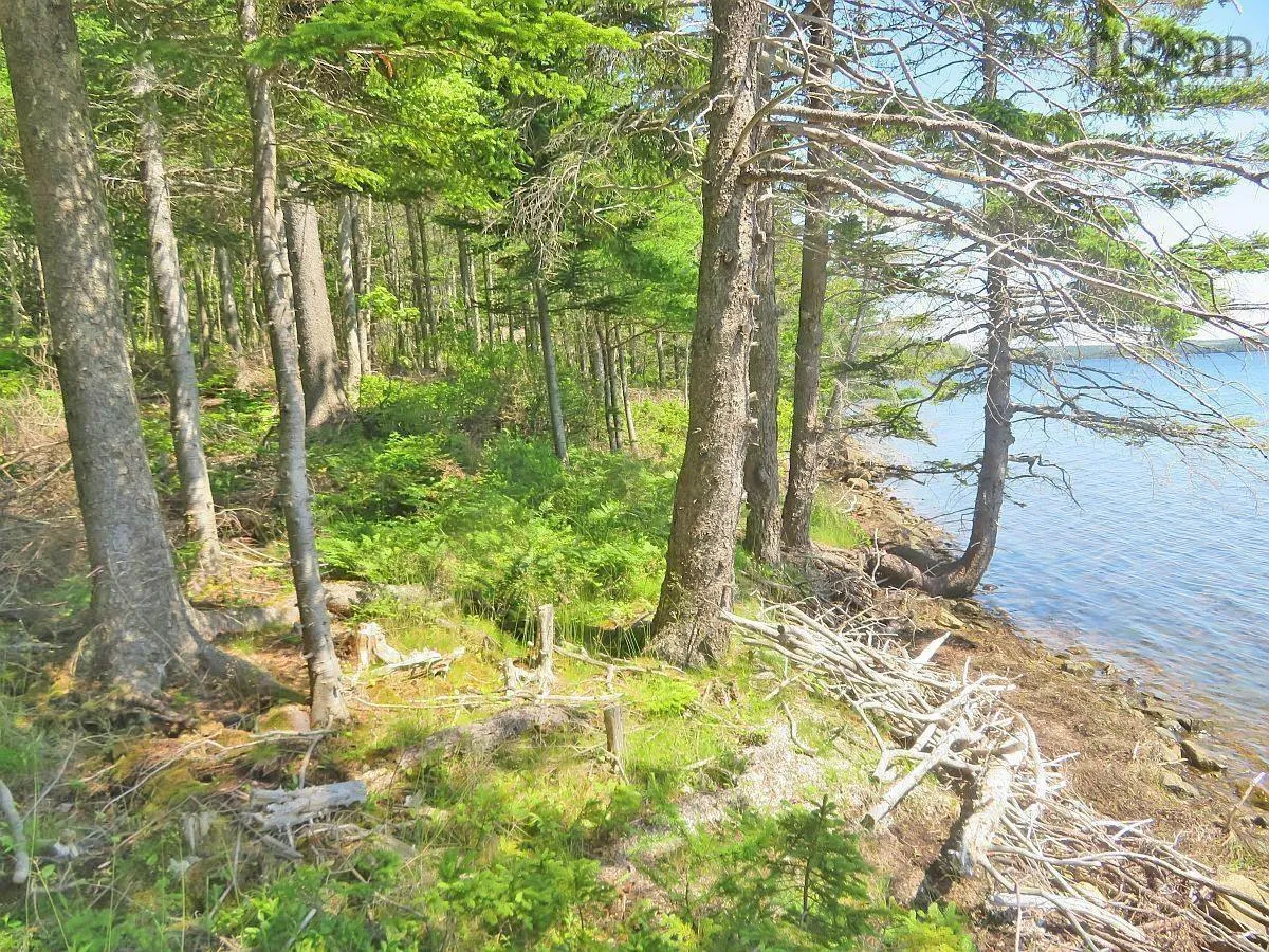 Lot 20 Redbird Dr, Malagawatch, NS B0E 2Y0, ,Land,For Sale,Redbird Dr,202519688
