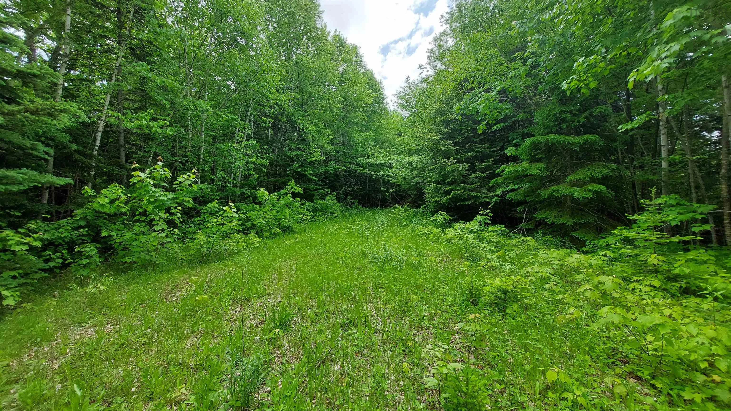 Lot 20 Redbird Dr, Malagawatch, NS B0E 2Y0, ,Land,For Sale,Redbird Dr,202519688