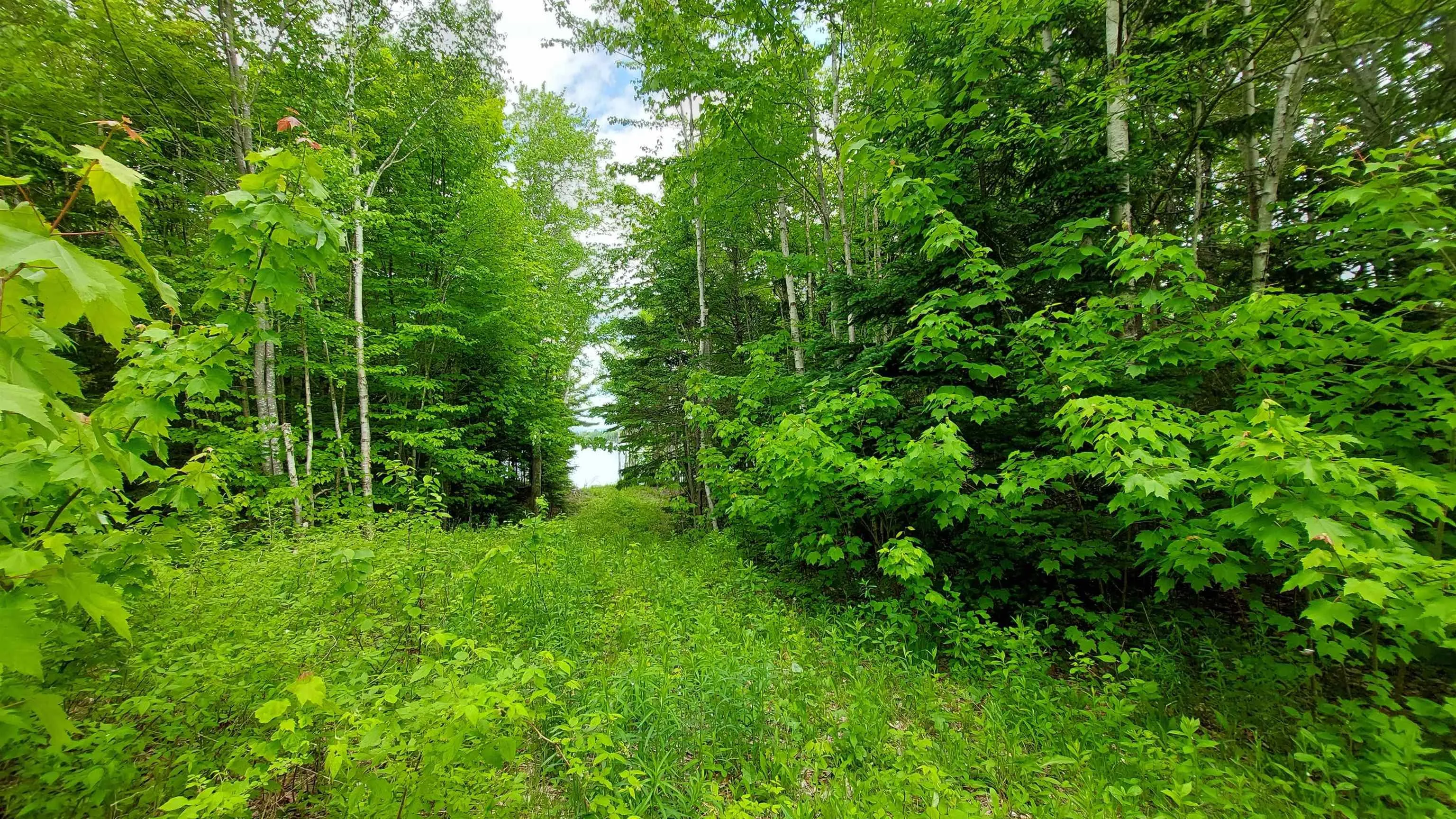 Lot 20 Redbird Dr, Malagawatch, NS B0E 2Y0, ,Land,For Sale,Redbird Dr,202519688