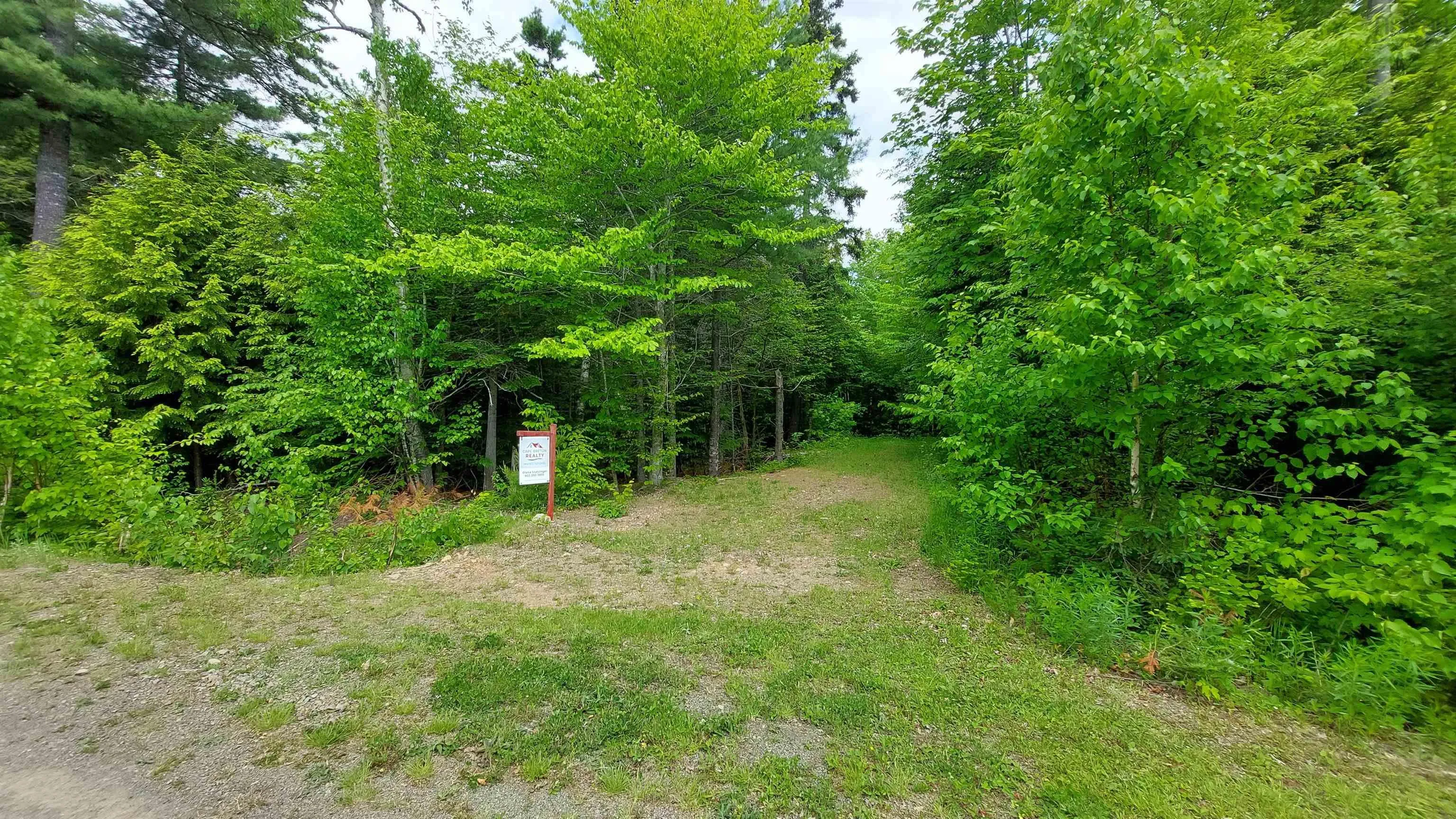 Lot 20 Redbird Dr, Malagawatch, NS B0E 2Y0, ,Land,For Sale,Redbird Dr,202519688