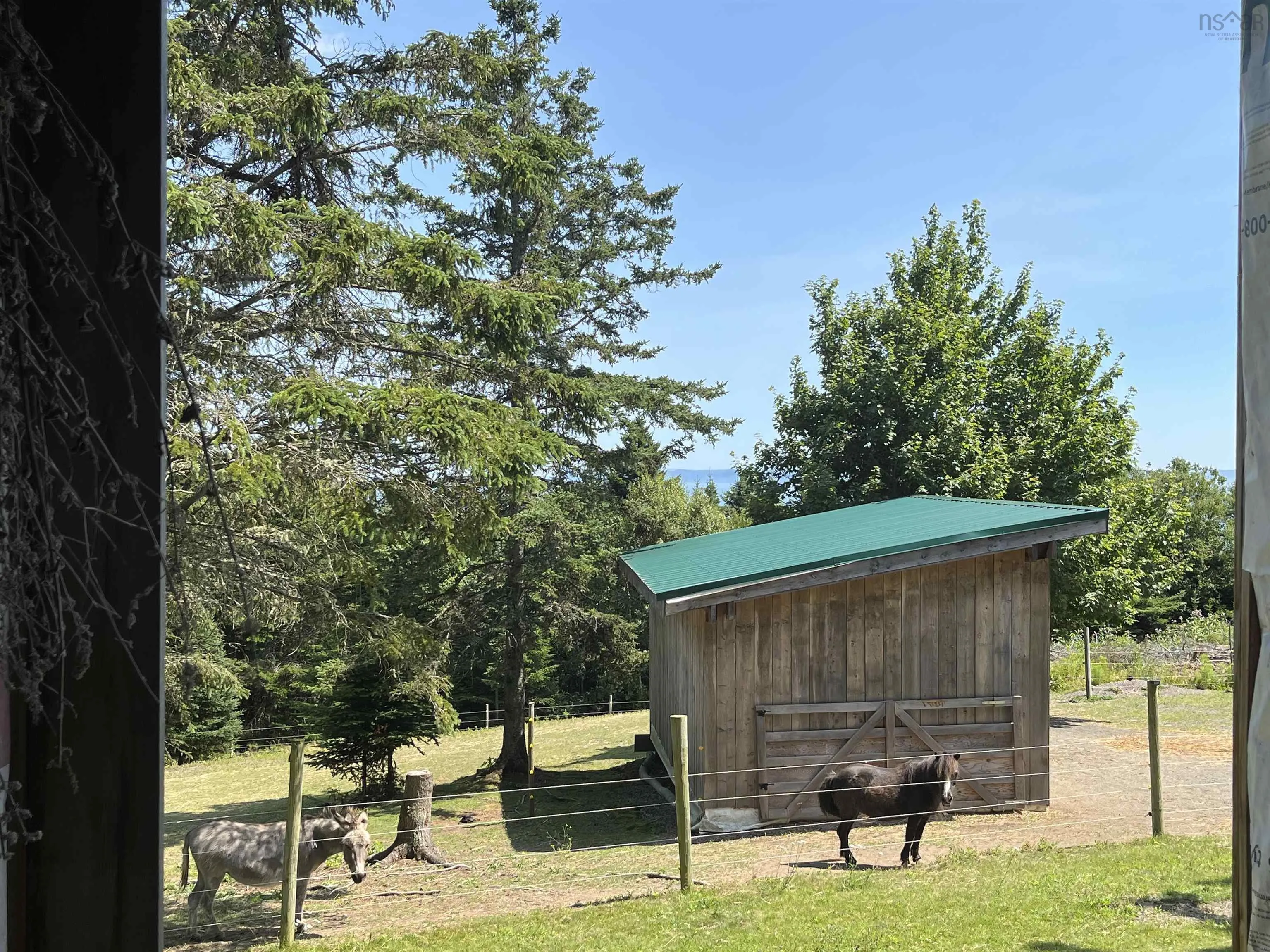 7787 Highway 209, Brookville, NS B0M 1S0, 2 Bedrooms Bedrooms, ,1 BathroomBathrooms,Residential,For Sale,Highway 209,202519280
