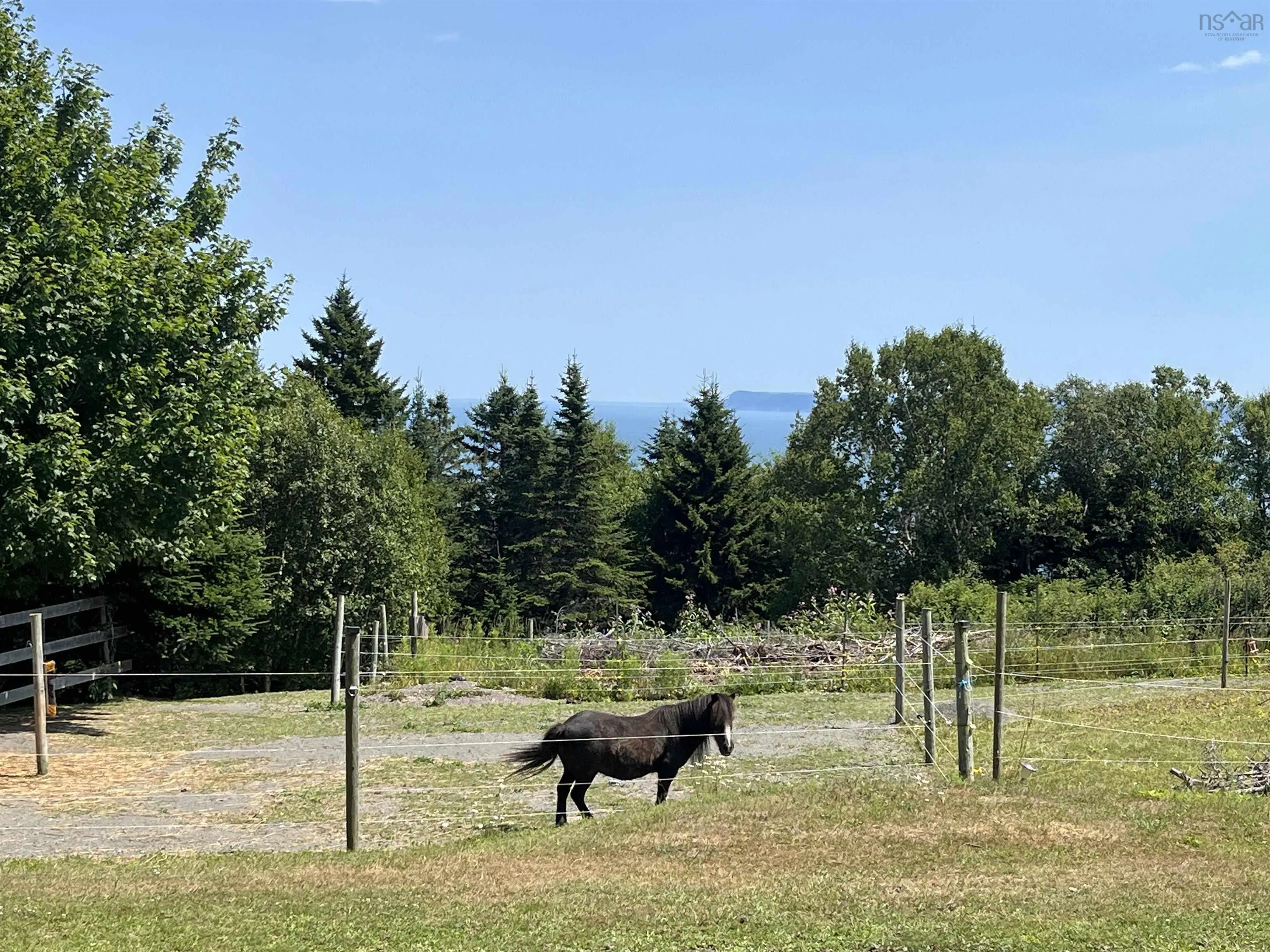 7787 Highway 209, Brookville, NS B0M 1S0, 2 Bedrooms Bedrooms, ,1 BathroomBathrooms,Residential,For Sale,Highway 209,202519280