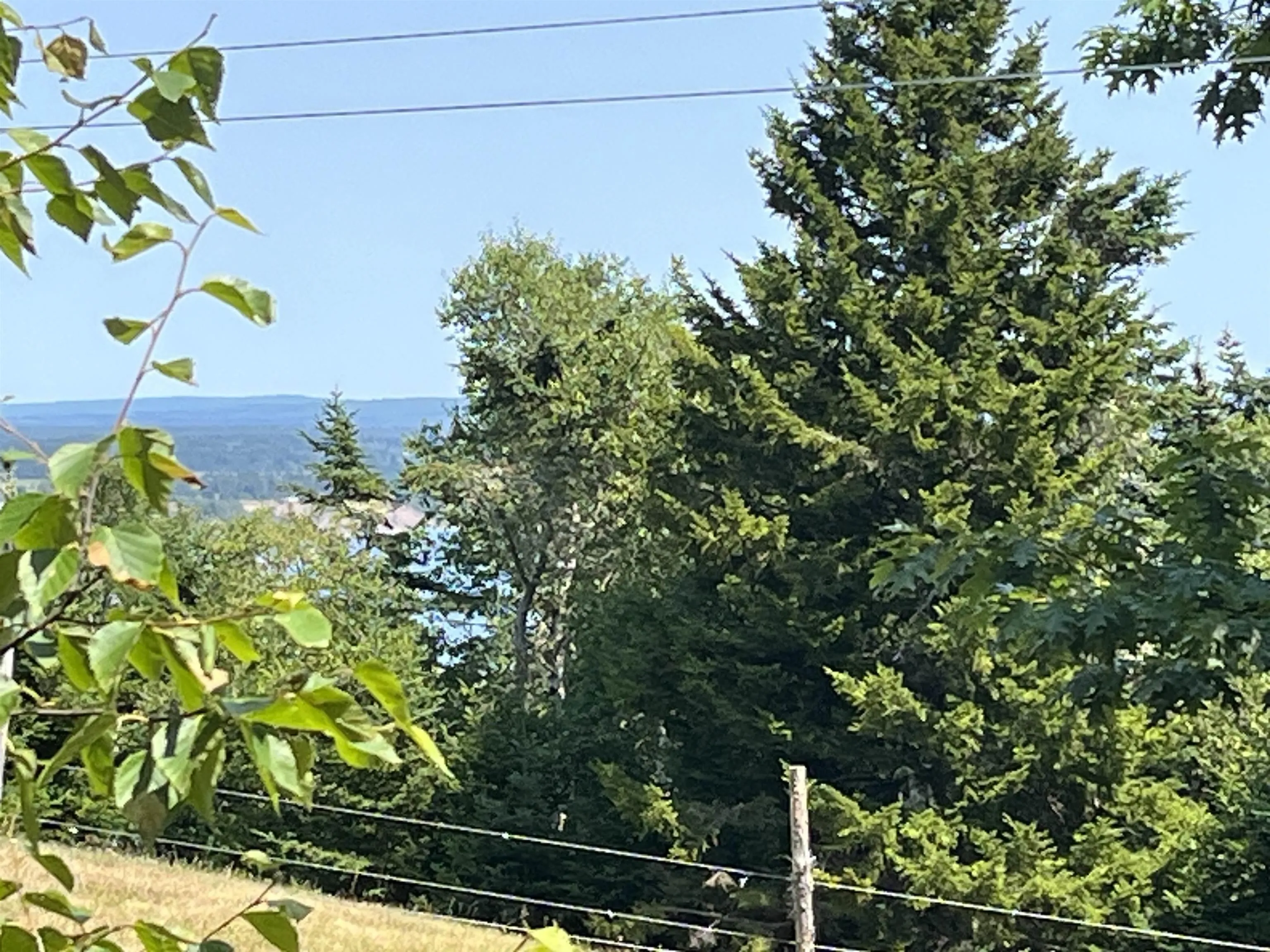 7787 Highway 209, Brookville, NS B0M 1S0, 2 Bedrooms Bedrooms, ,1 BathroomBathrooms,Residential,For Sale,Highway 209,202519280