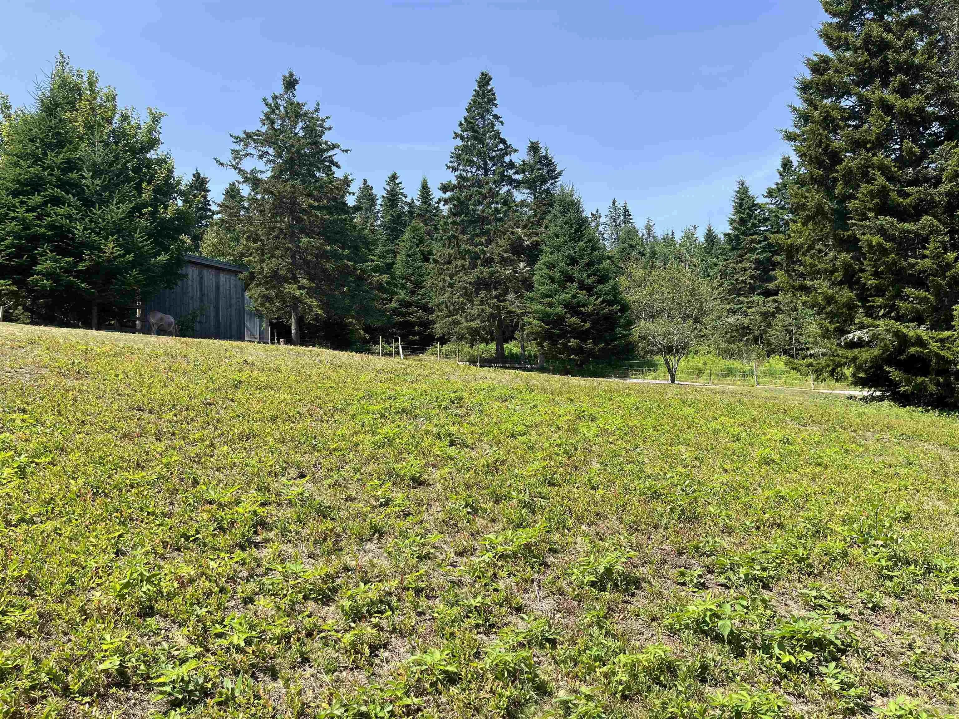 7787 Highway 209, Brookville, NS B0M 1S0, 2 Bedrooms Bedrooms, ,1 BathroomBathrooms,Residential,For Sale,Highway 209,202519280